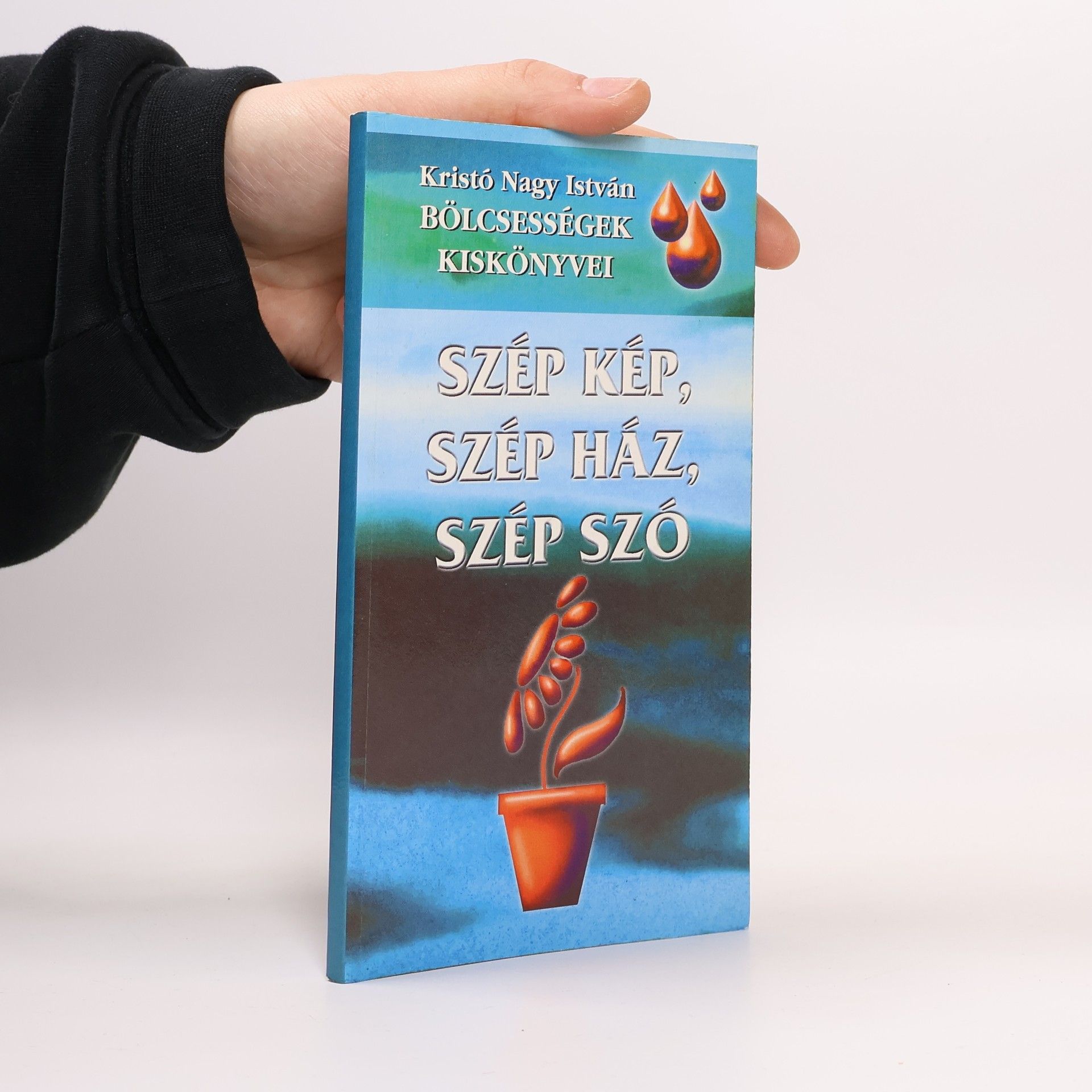 Nagy István Kristó Szép kép, szép ház, szép szó