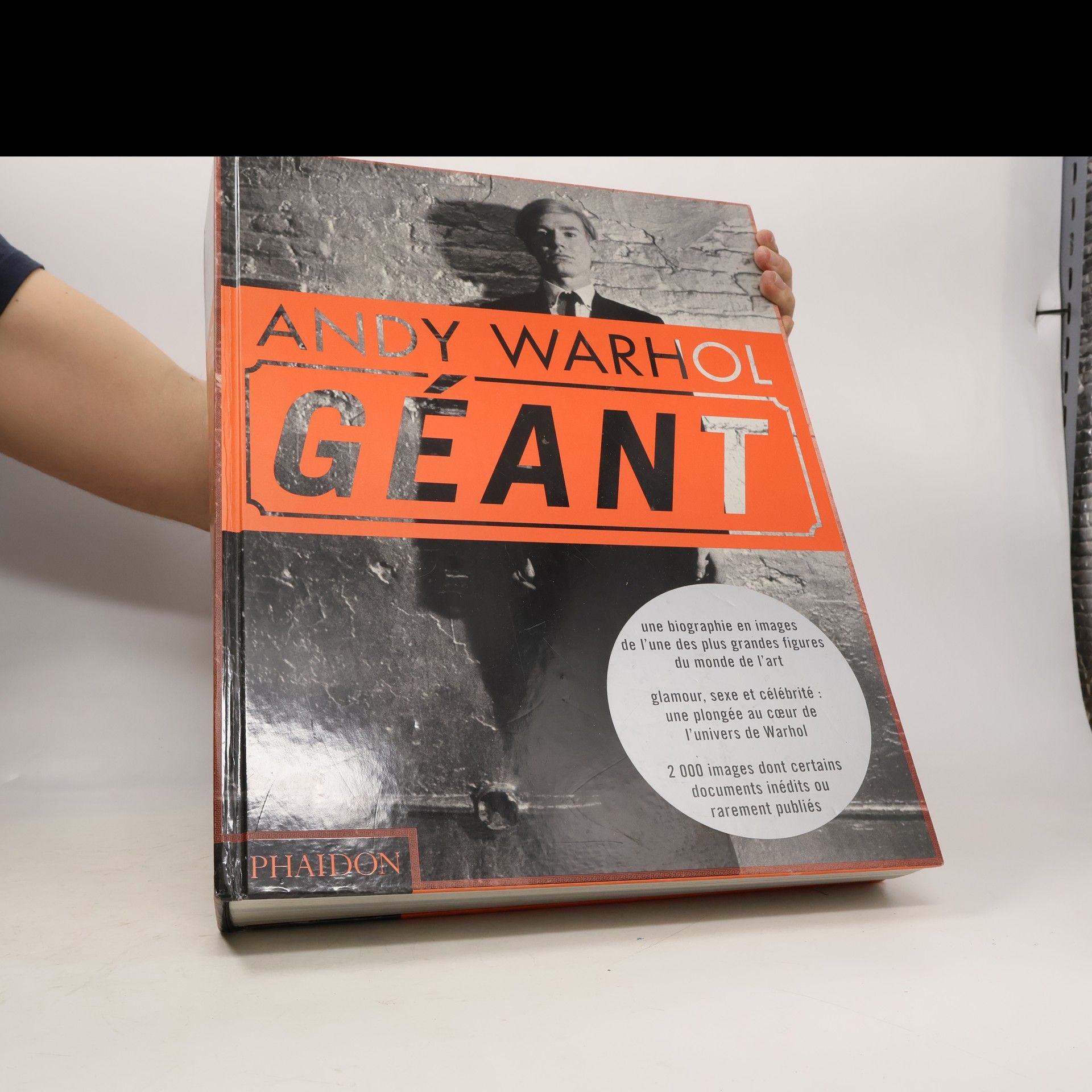 Andy Warhol Andy Warhol géant