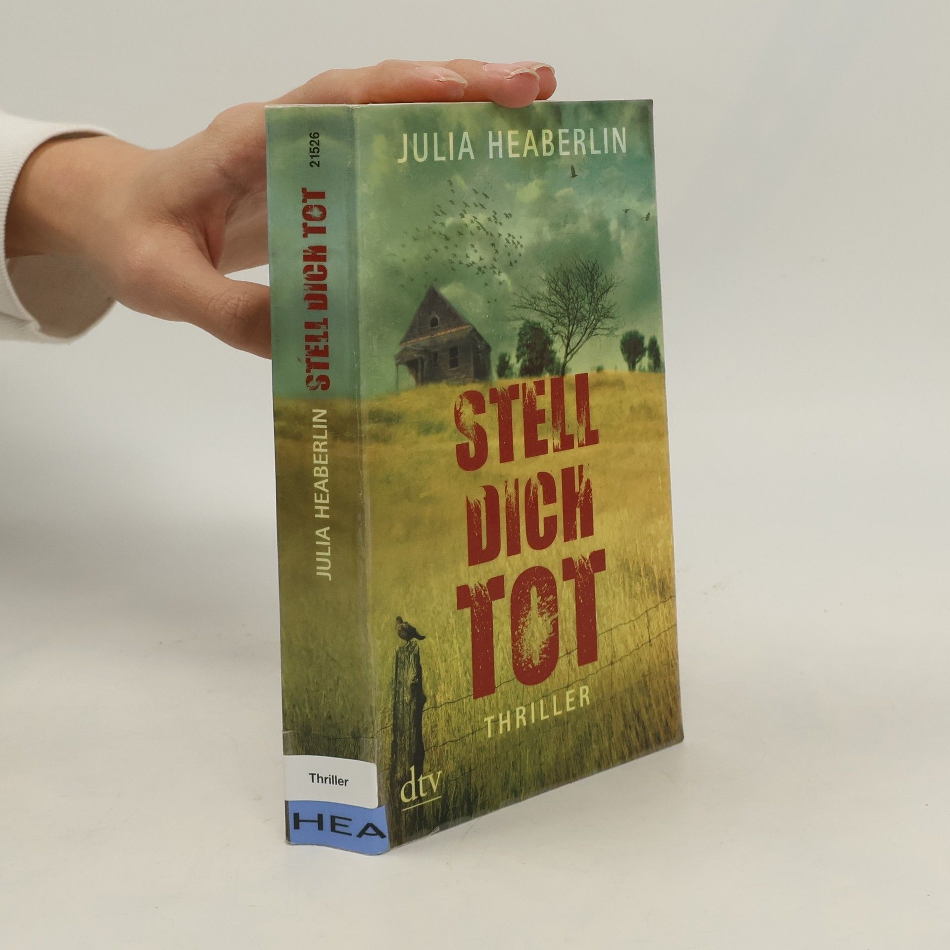 Julia Heaberlin Stell dich tot