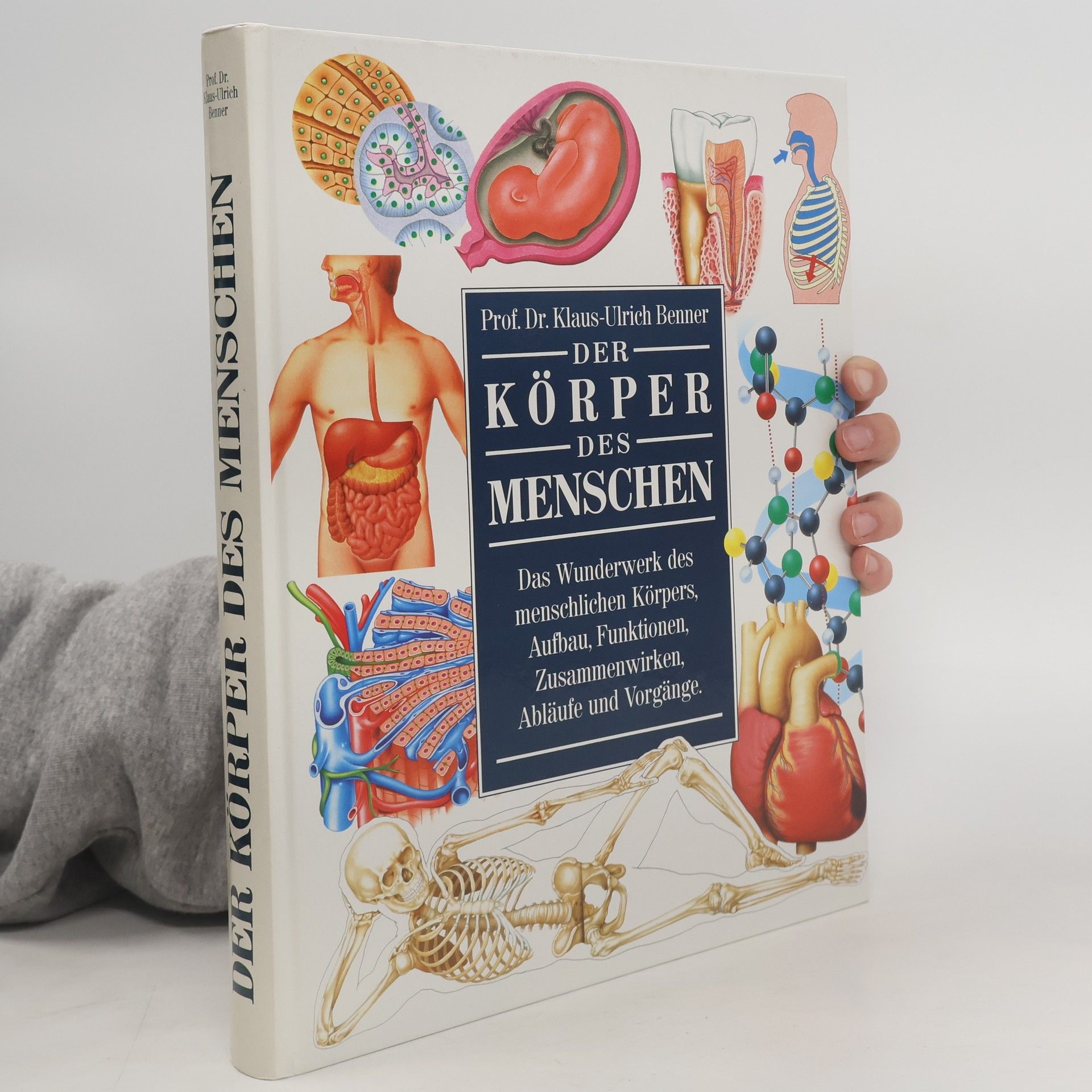 Klaus-Ulrich Wermann Der Körper des Menschen