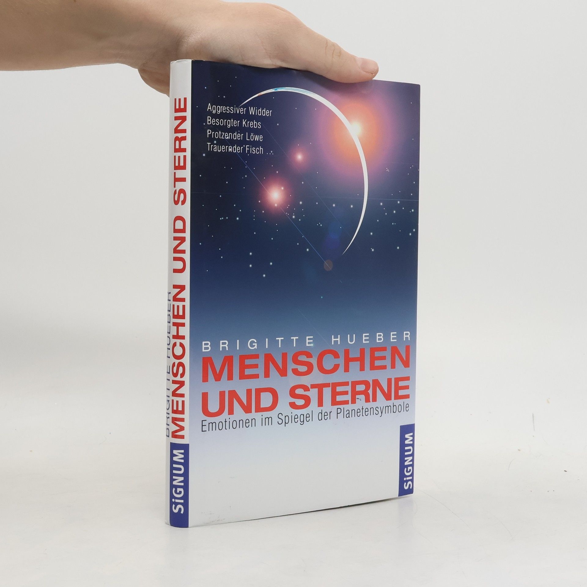 Brigitte Hueber Menschen und Sterne
