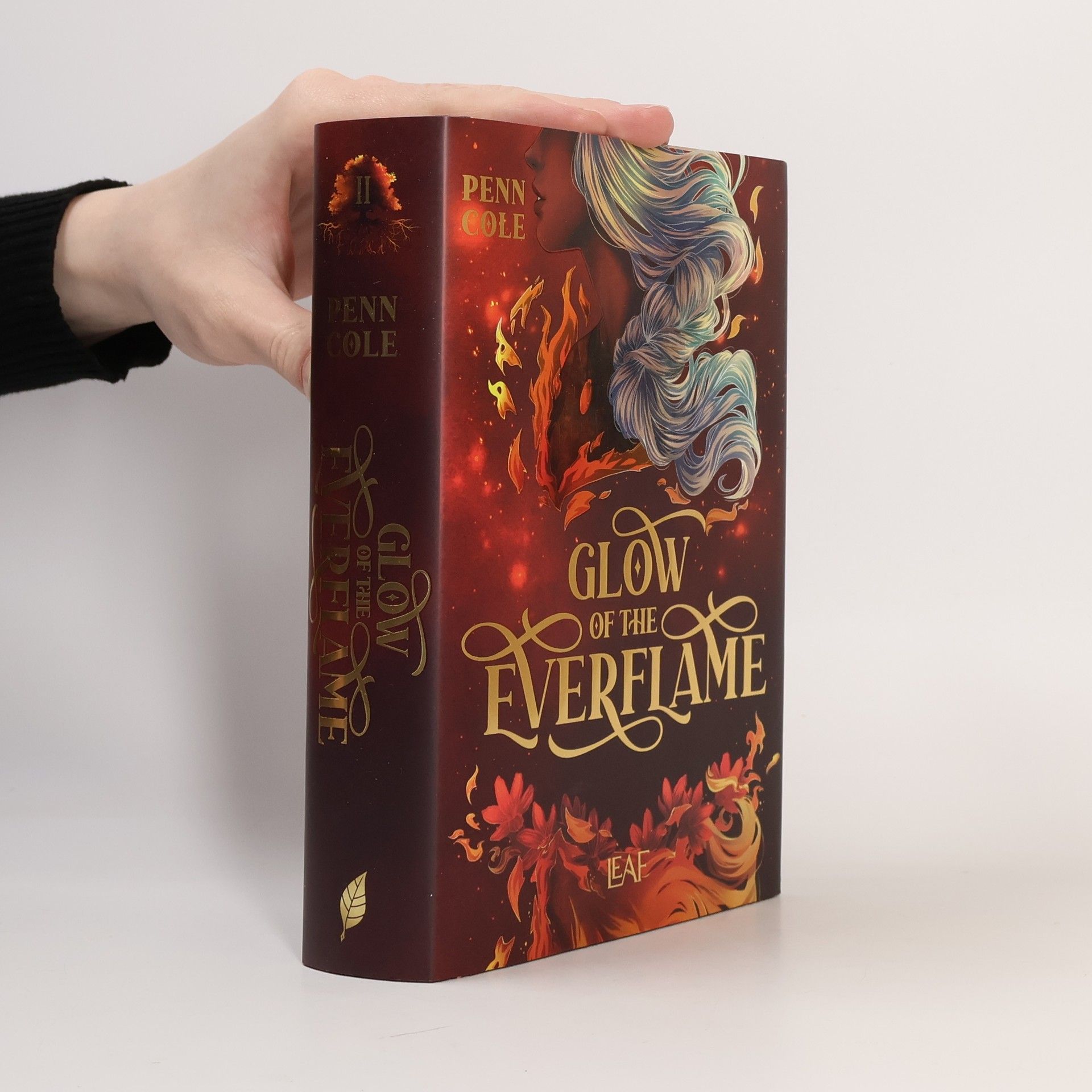 Penn Cole Glow of the Everflame / Kindred´s Curse Saga Bd.2