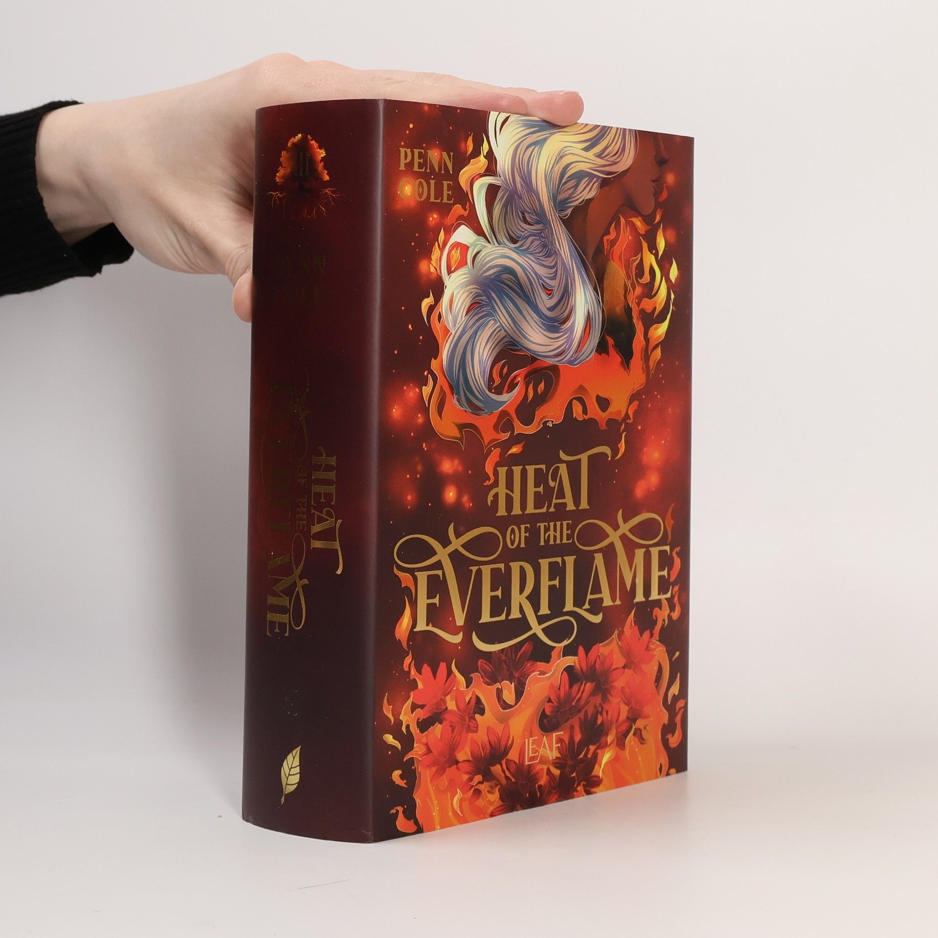 Penn Cole Heat of the Everflame / Kindred´s Curse Saga Bd.3