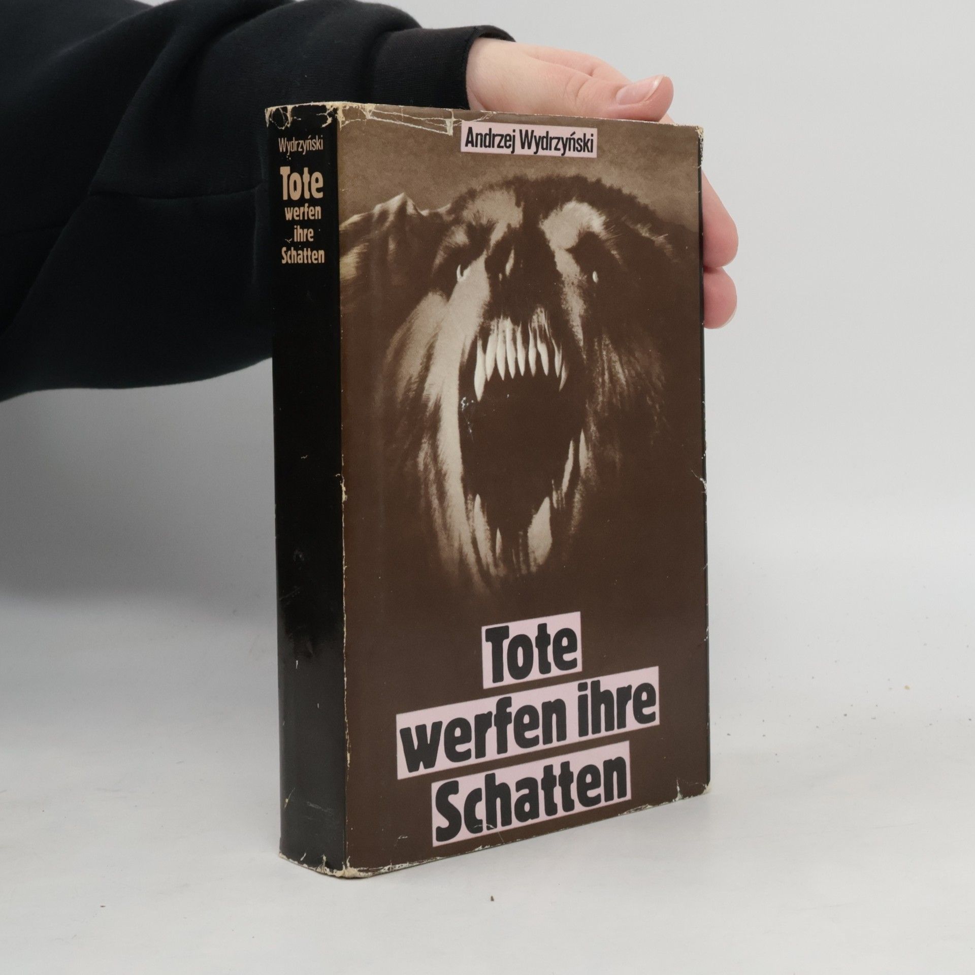 Andrzej Wydrzyński Tote werfen ihre Schatten
