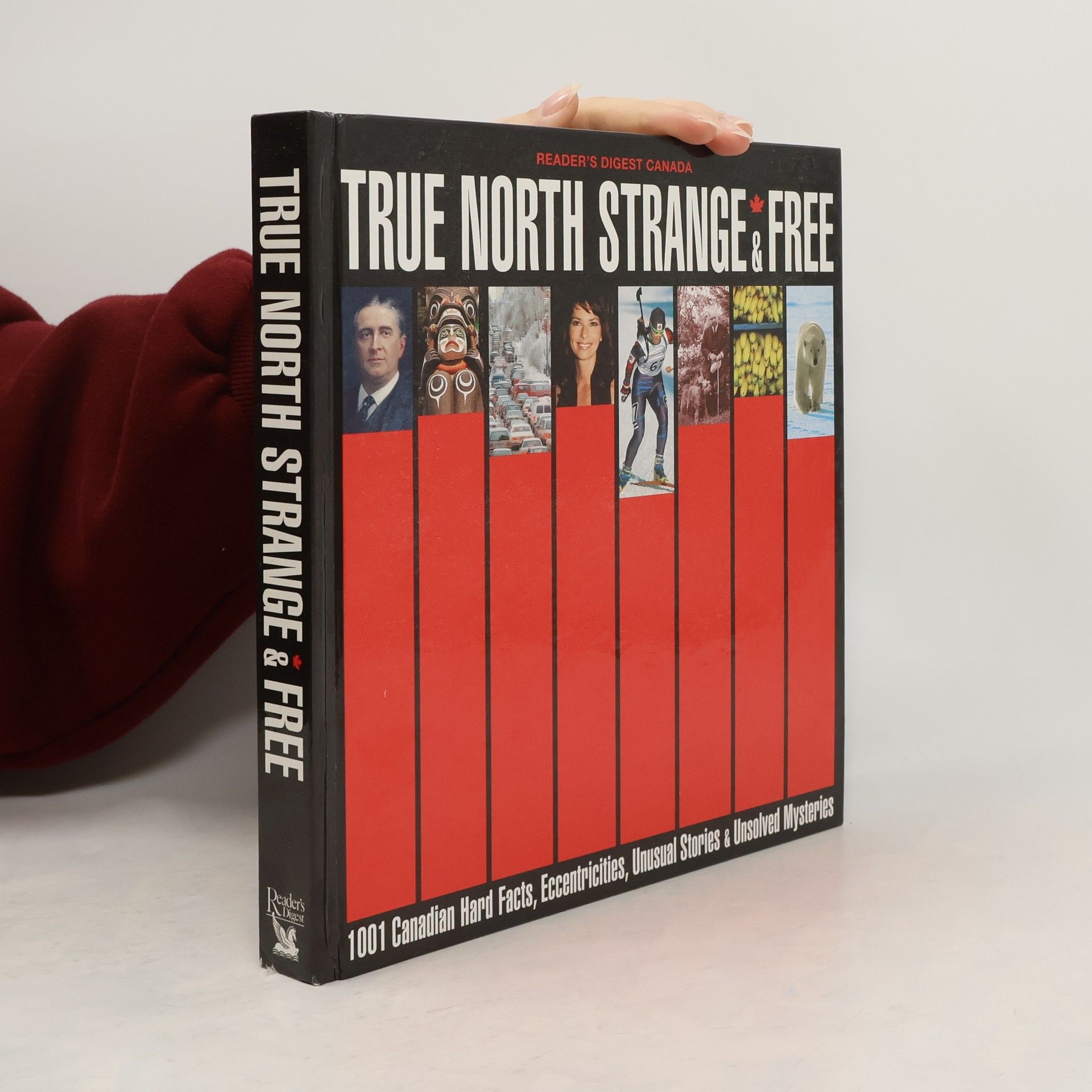 Philomena Hurley Rutherford The True North Strange and Free