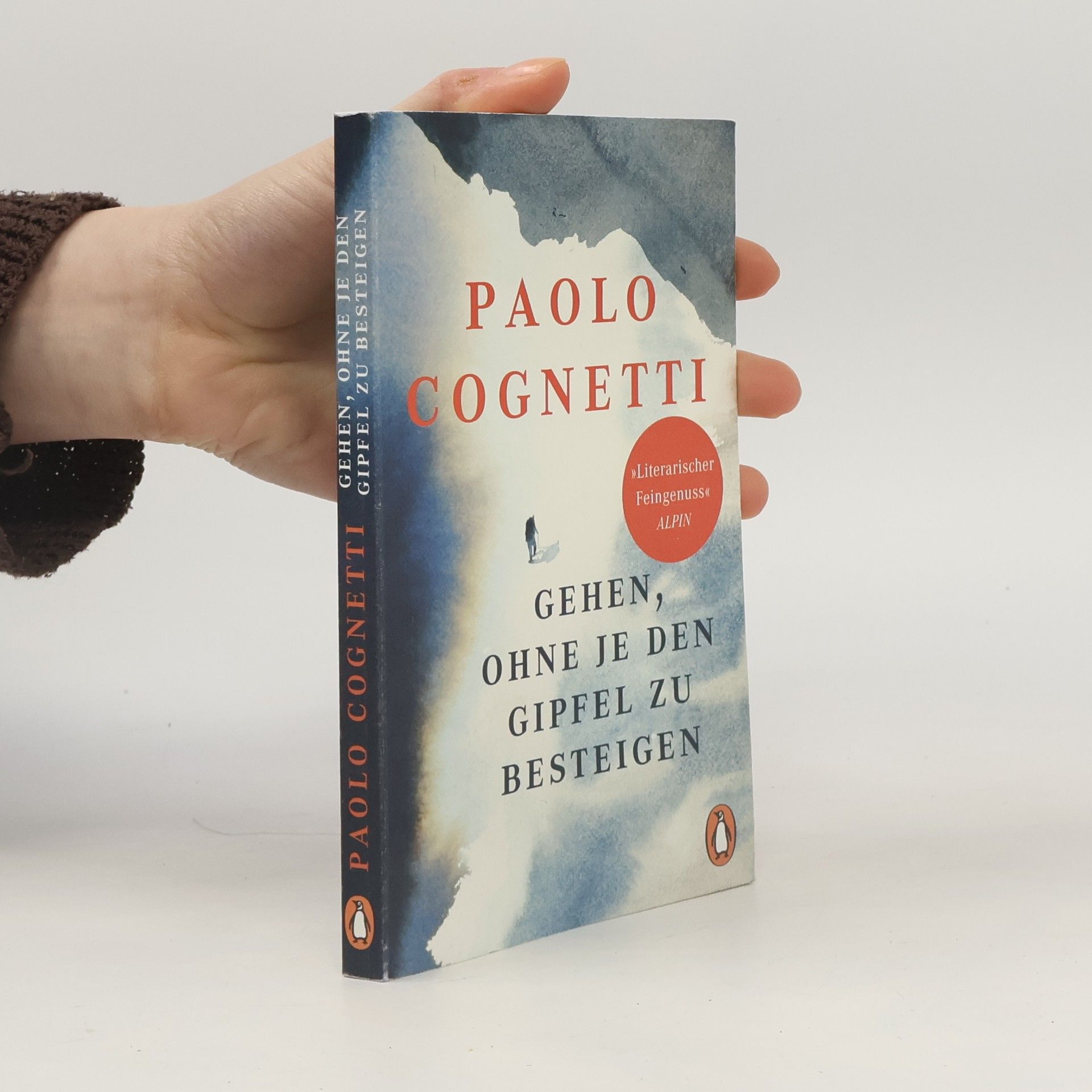 Paolo Cognetti Gehen, ohne je den Gipfel zu besteigen