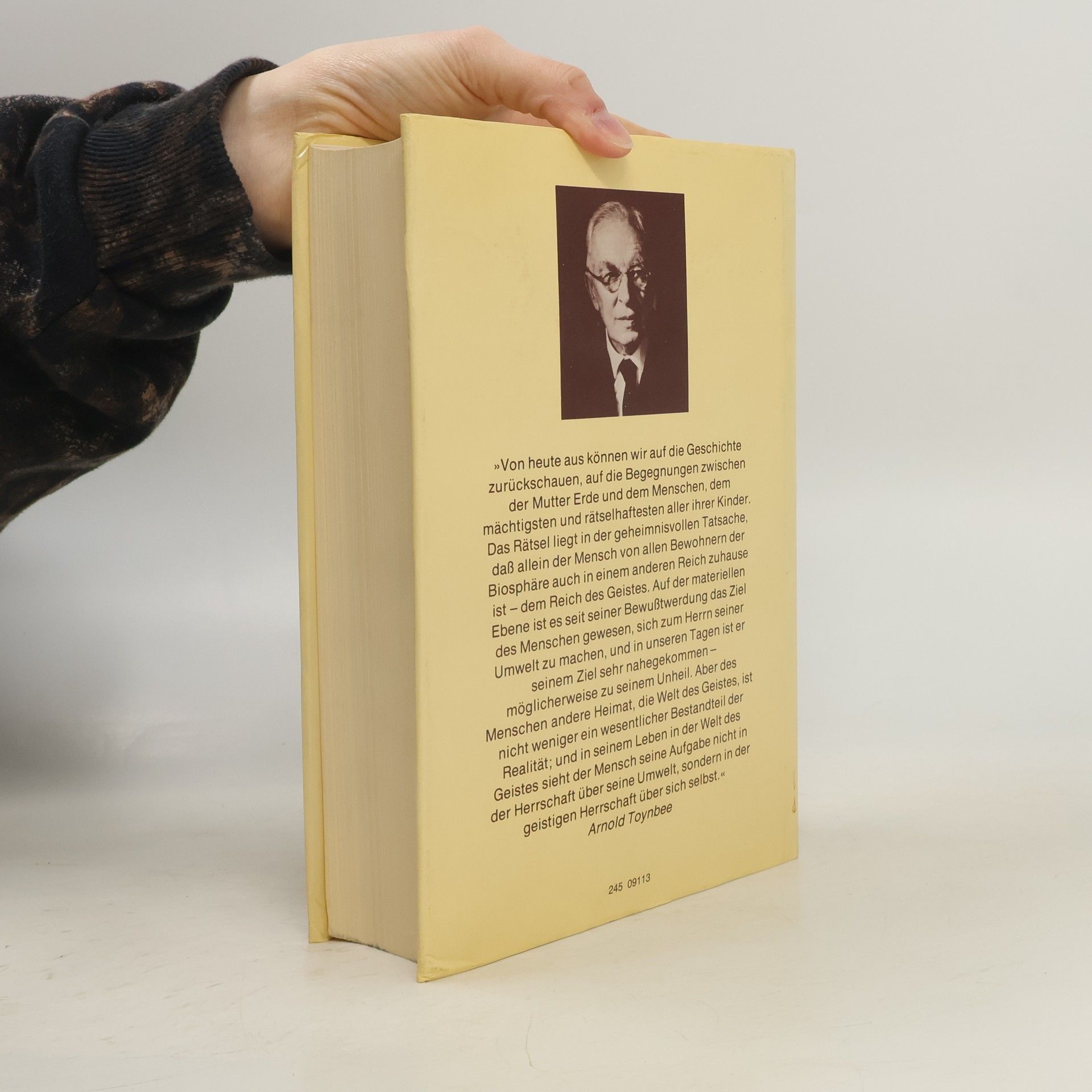 Arnold Toynbee Menschheit und Mutter Erde