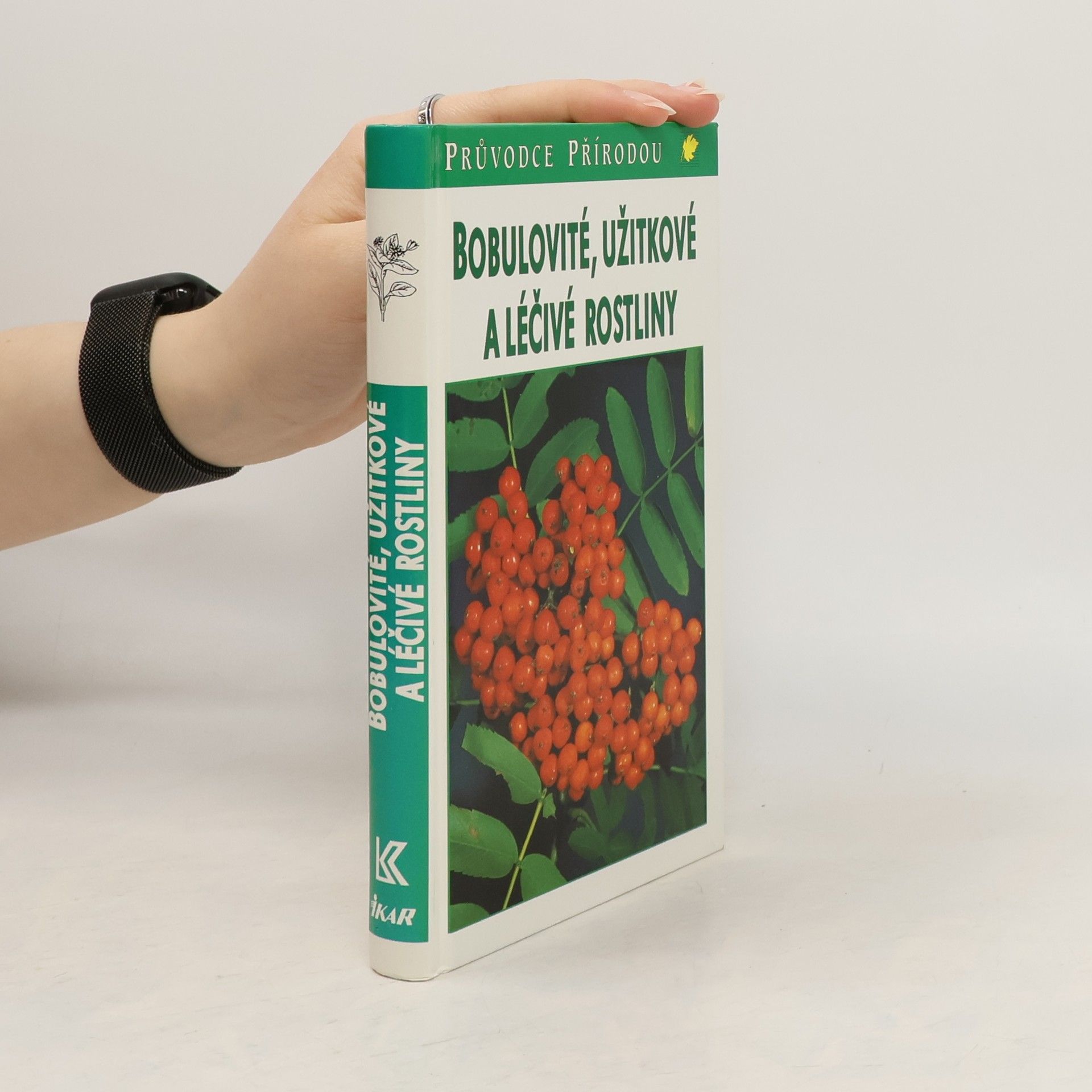 Jürke Grau Bobulovité, užitkové a léčivé rostliny