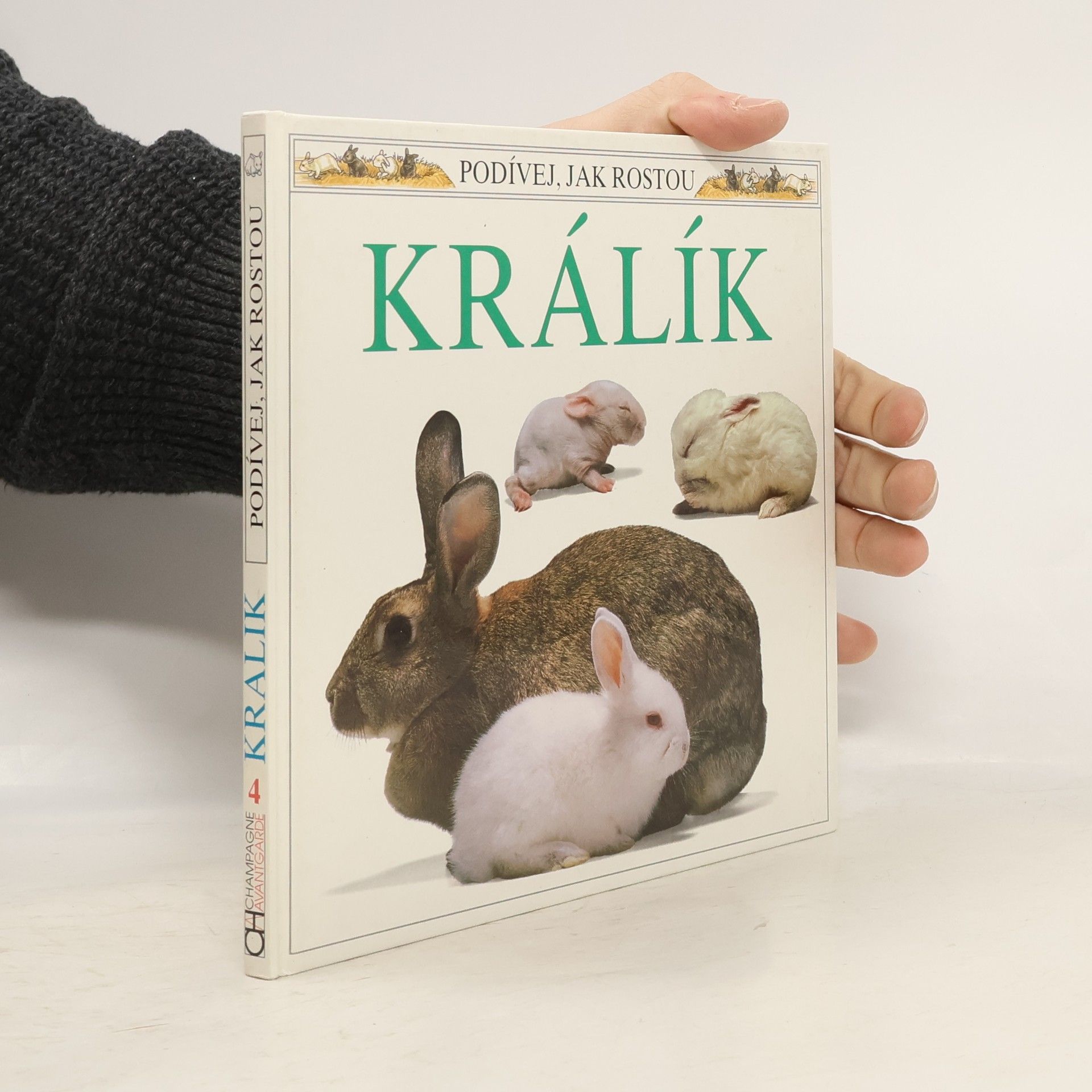 Barrie Watts Králík