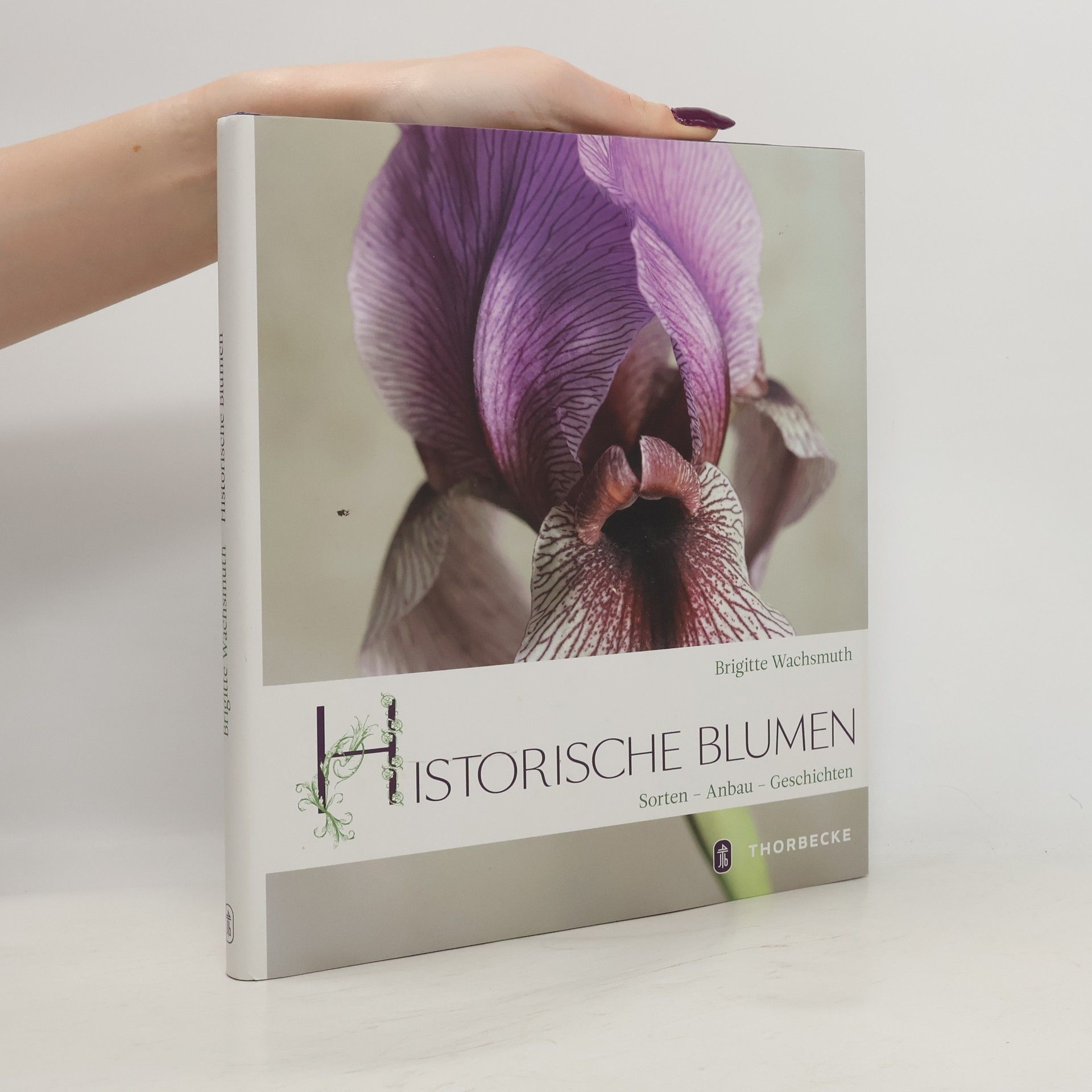 Brigitte Wachsmuth Historische Blumen