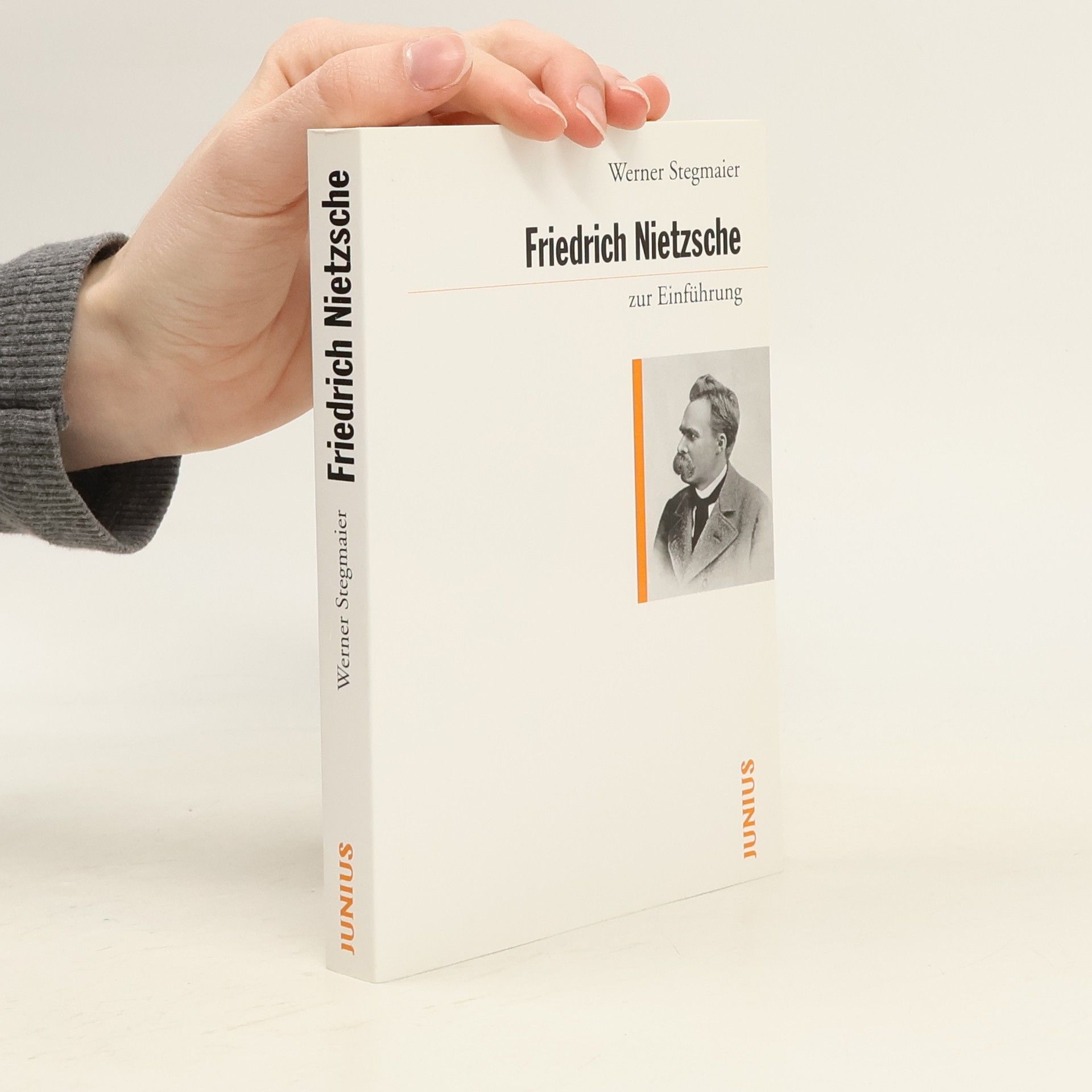 Werner Stegmaier Friedrich Nietzsche zur Einführung