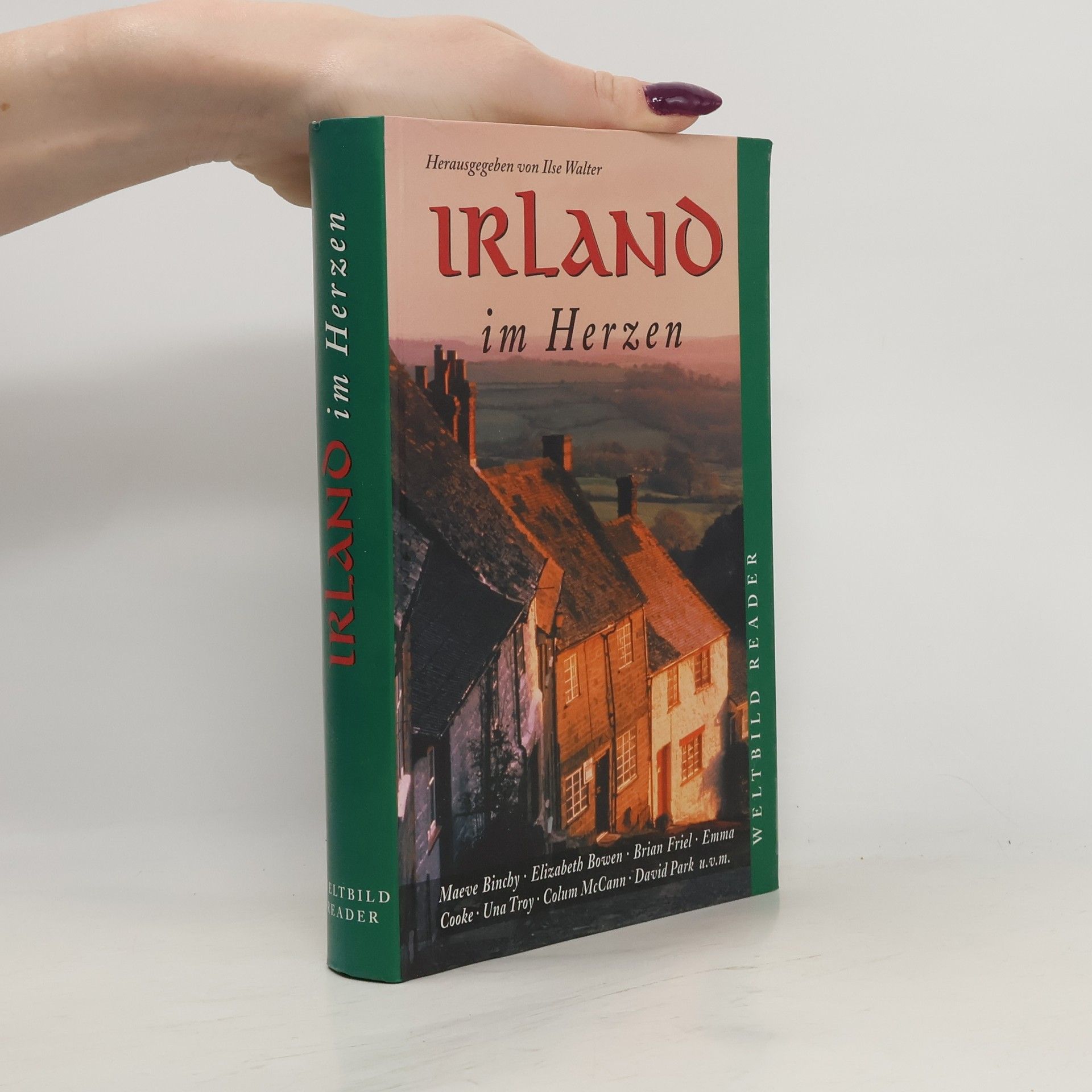 Autores varios Irland im Herzen