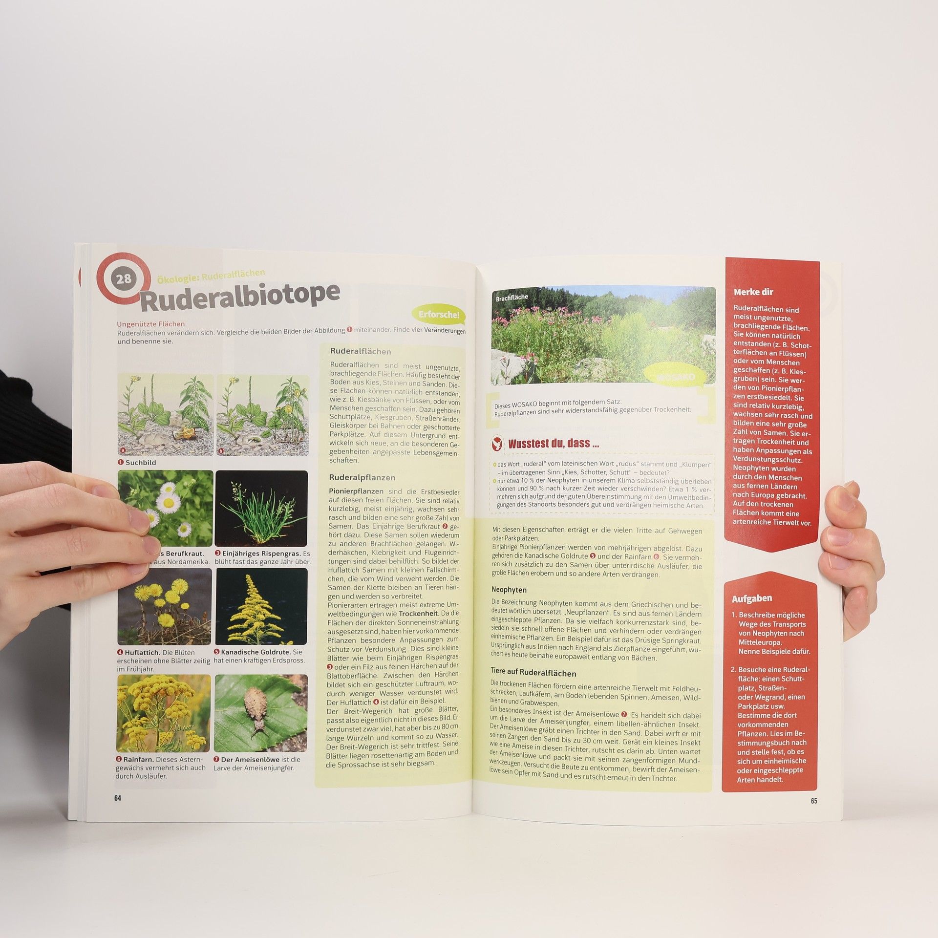 Eva Möslinger Expedition Biologie 3