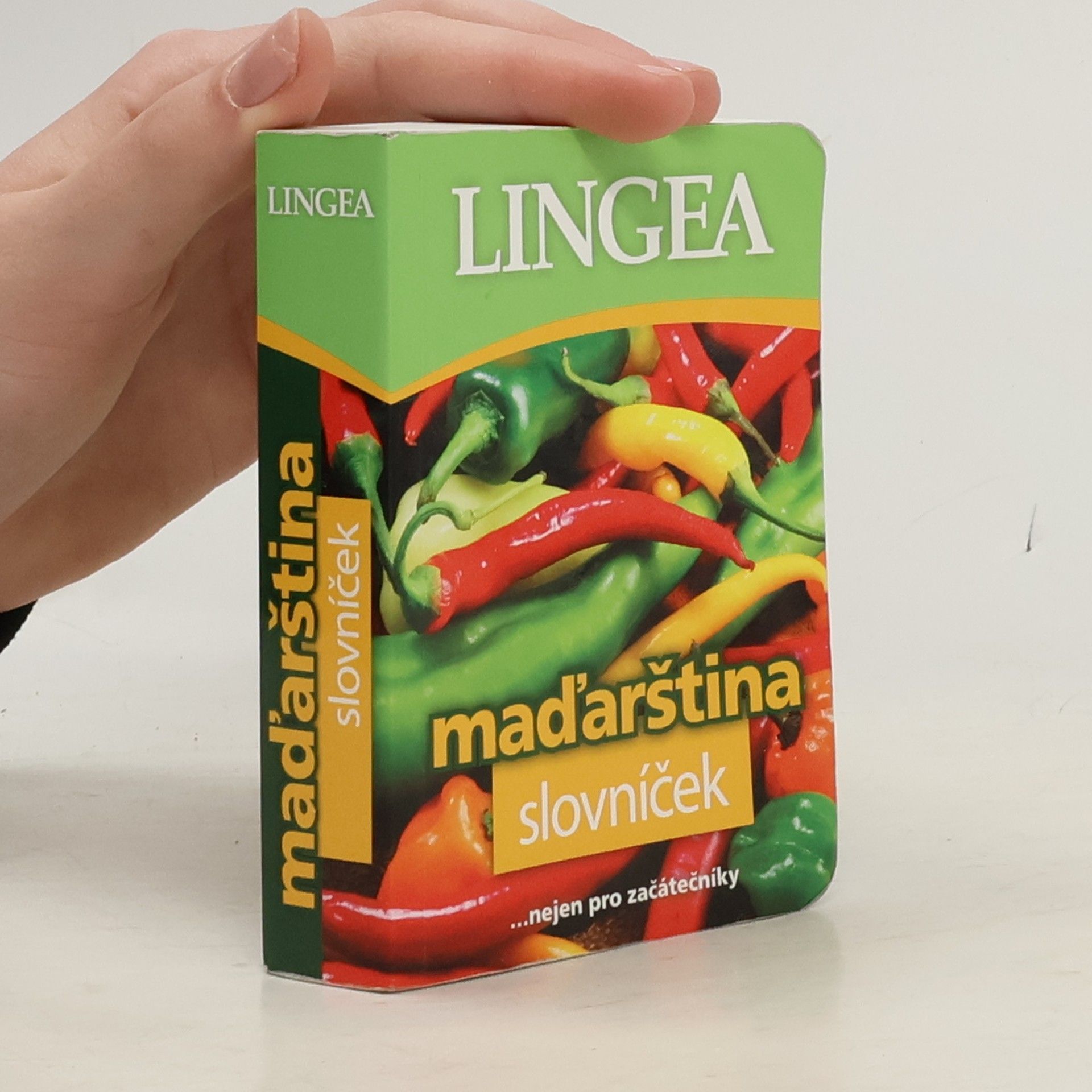 Kolektiv autorů Maďarština. Slovníček