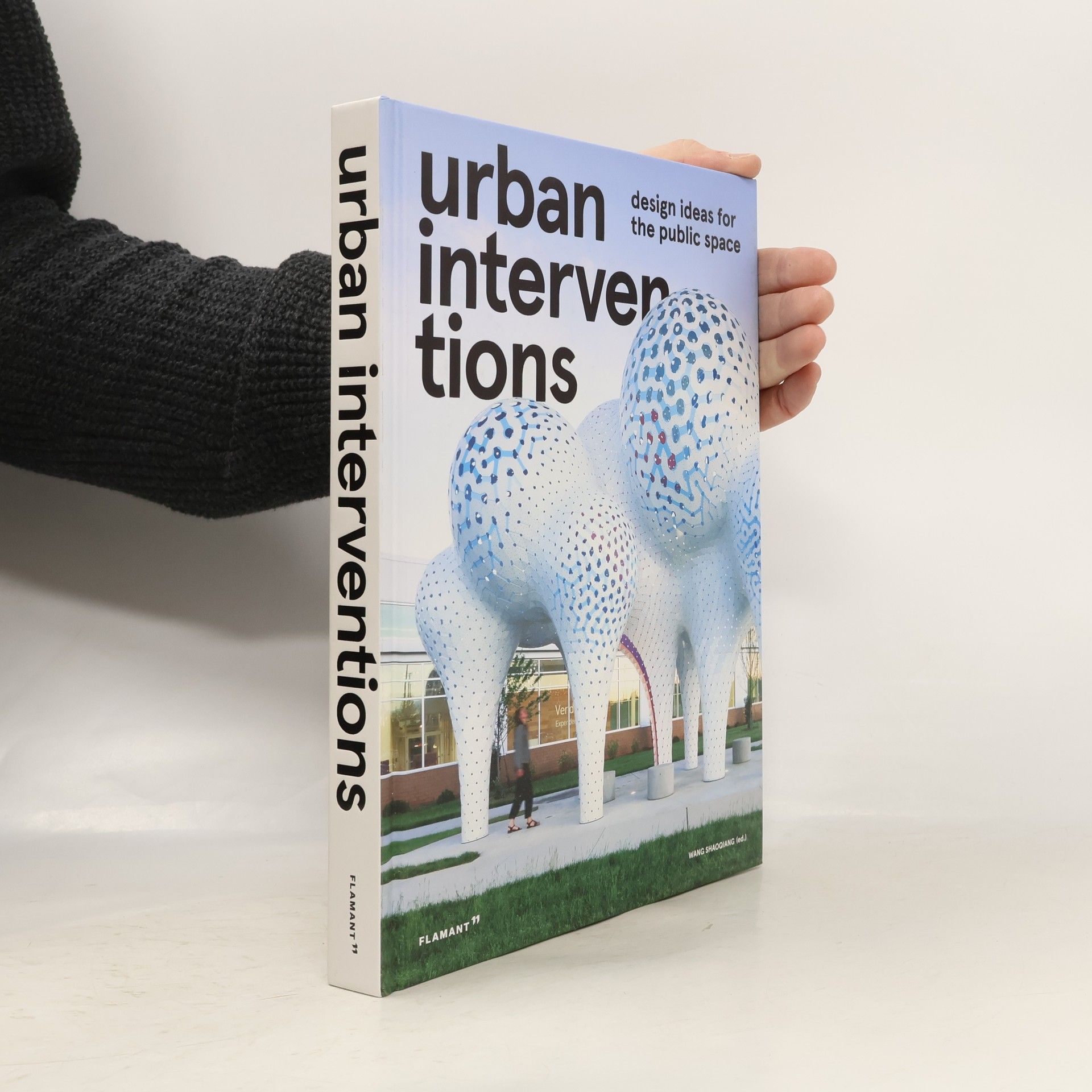 Wang Shaoqiang Urban Interventions