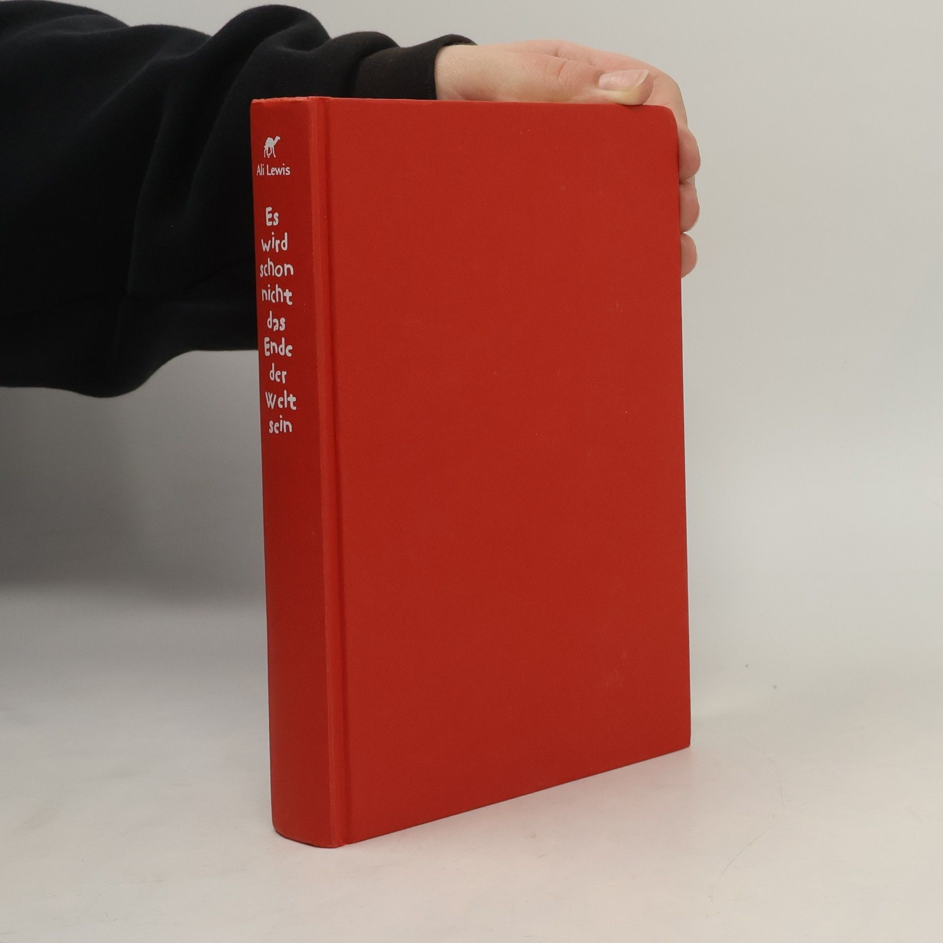 Ali Lewis Es wird schon nicht das Ende der Welt sein