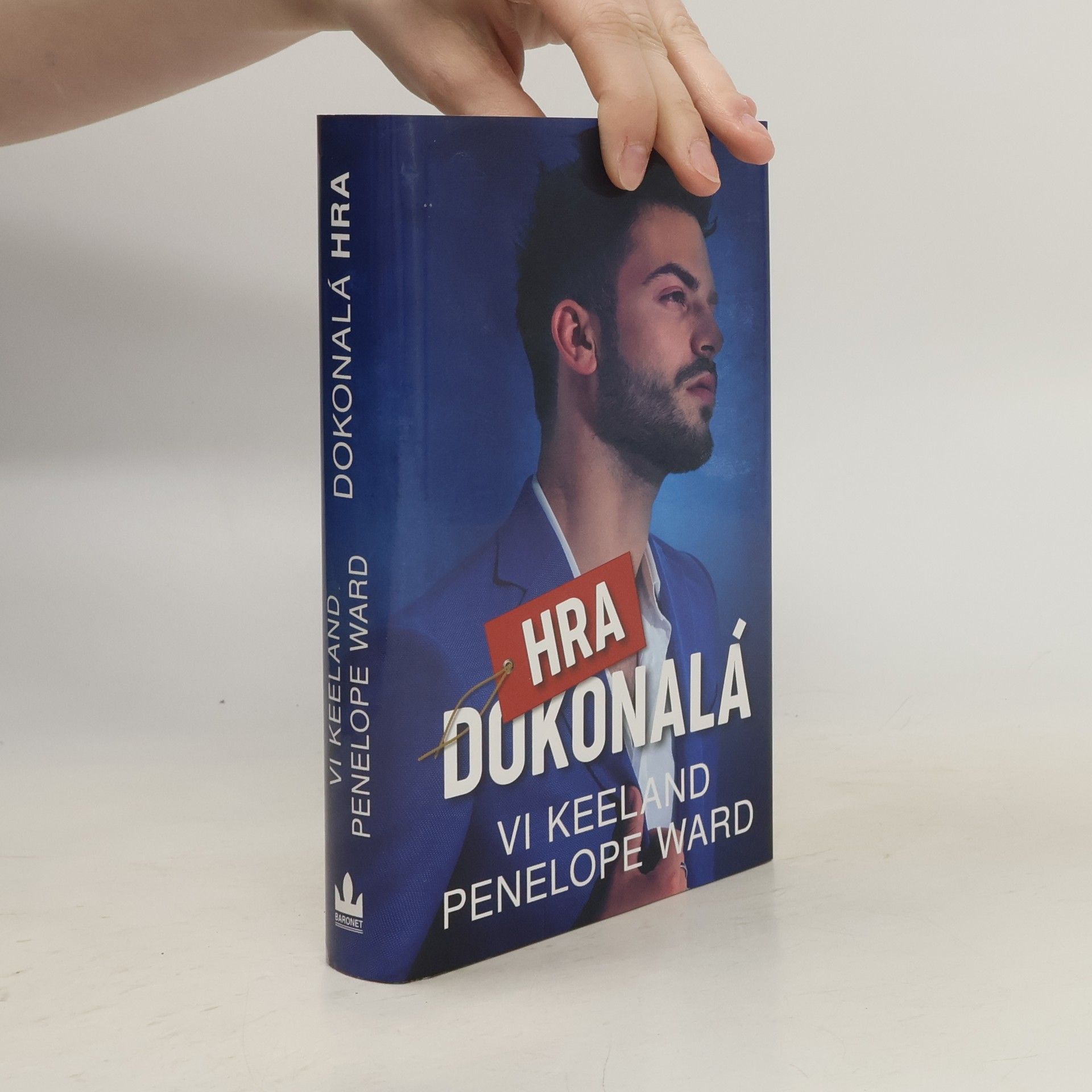 Vi Keeland Dokonalá hra