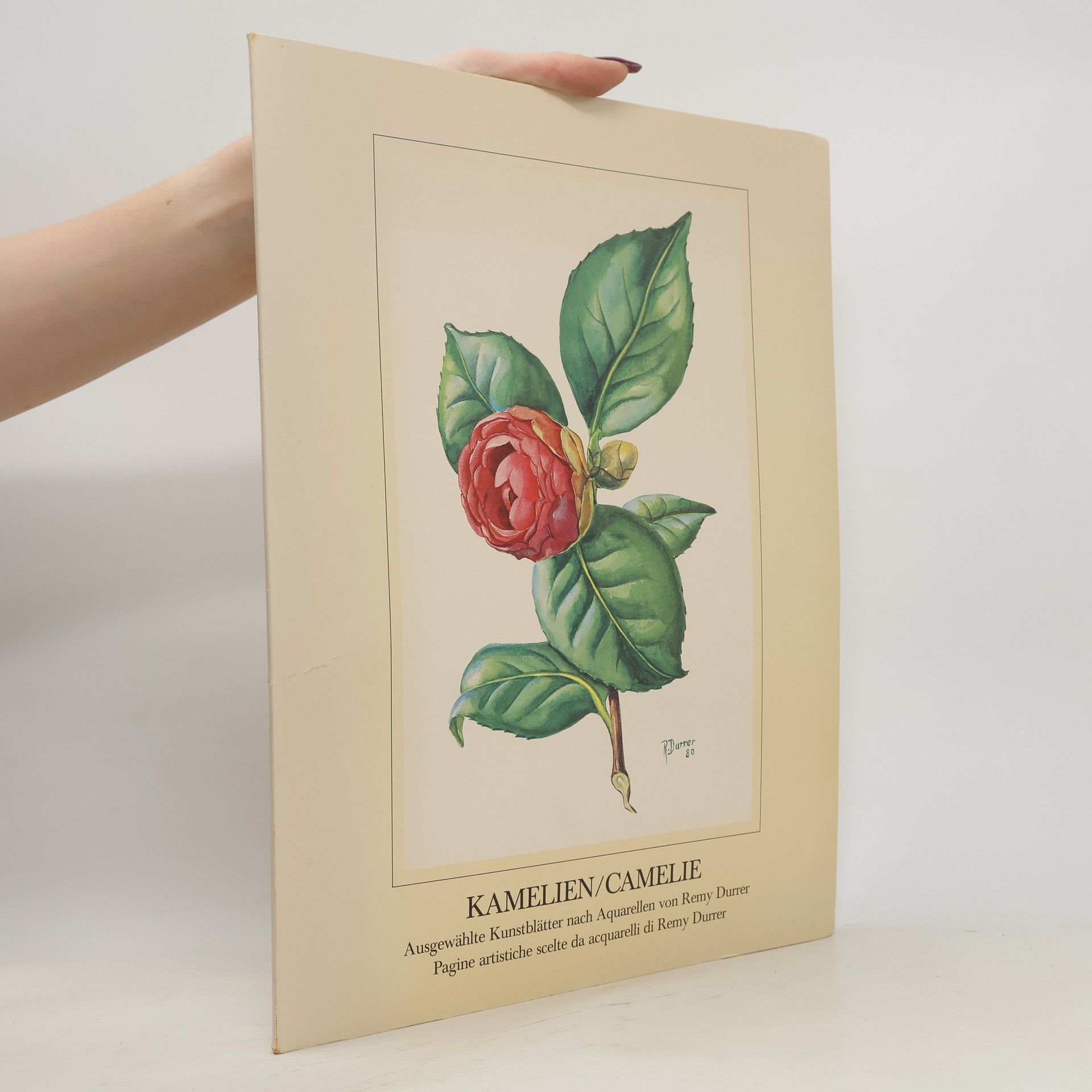 Autorenkollektiv Die Kamelie. La Camelia