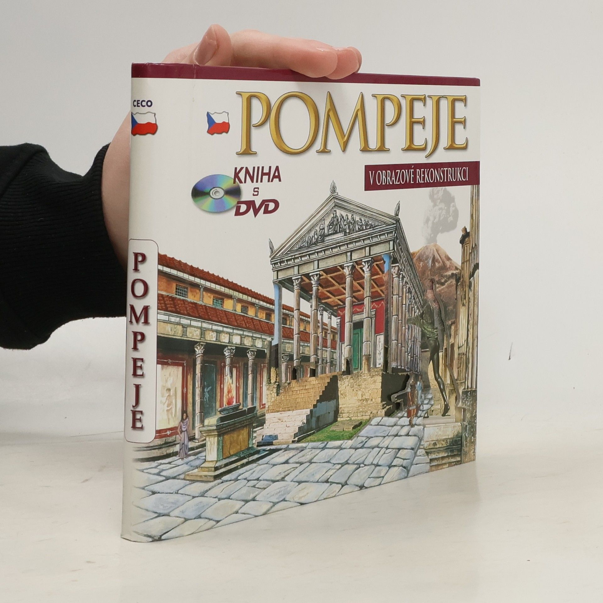 Maria Antonietta Lozzi Bonaventura Pompeje: Obrazová rekonstrukce