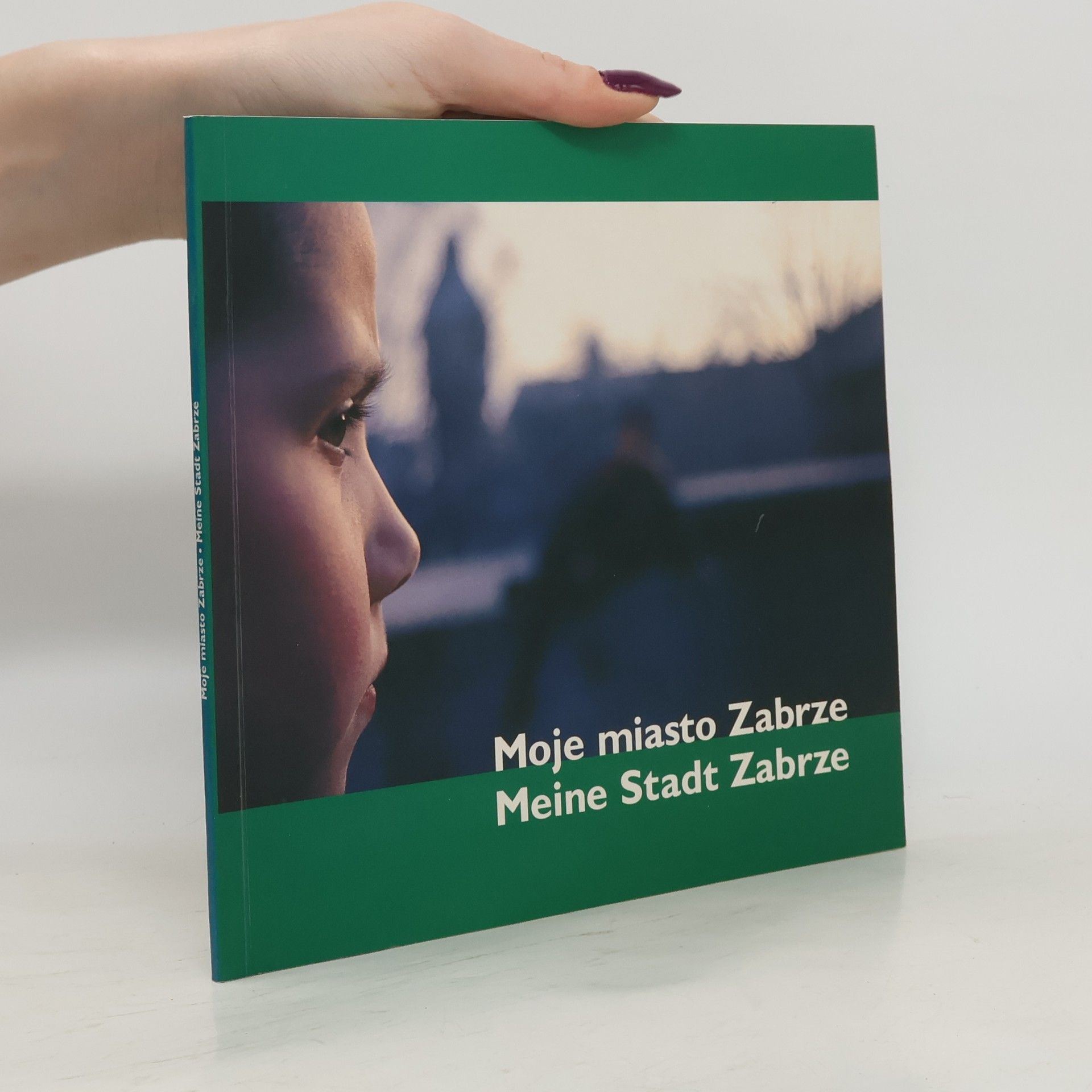 Autorenkollektiv Moje miasto Zabrze. Meine Stadt Zabrze