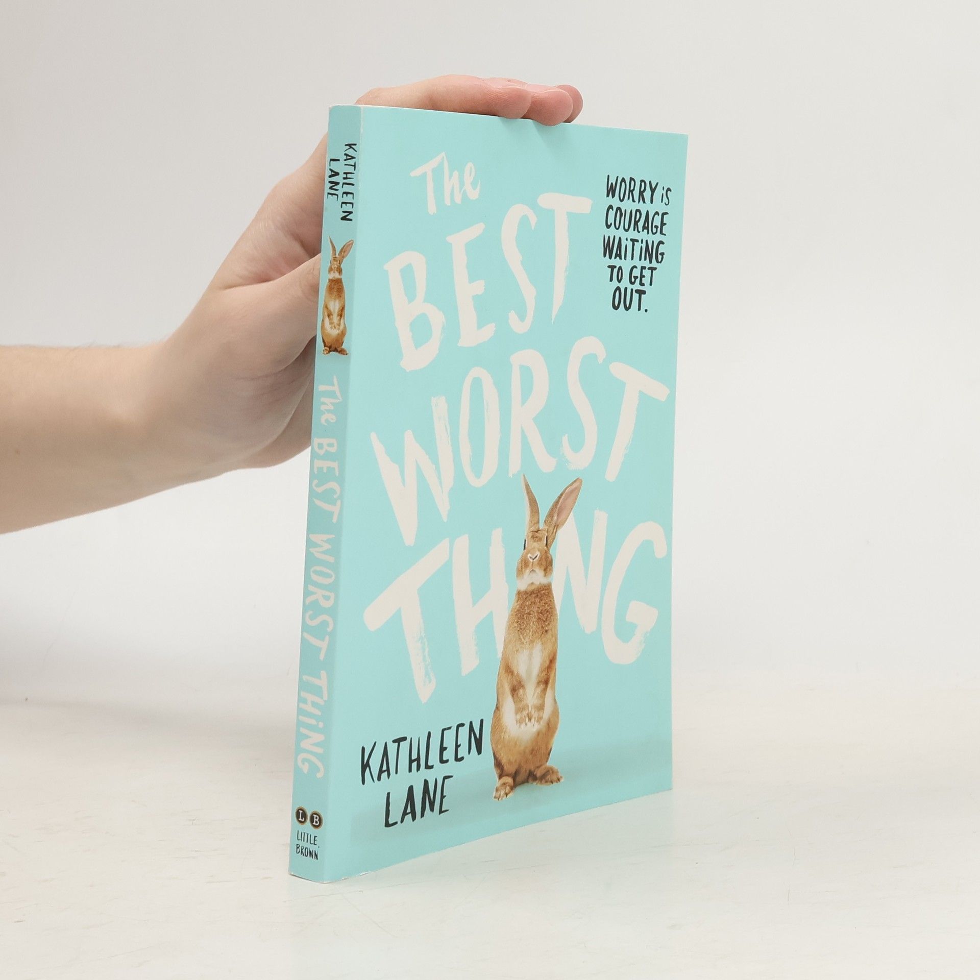 Kathleen Lane The Best Worst Thing