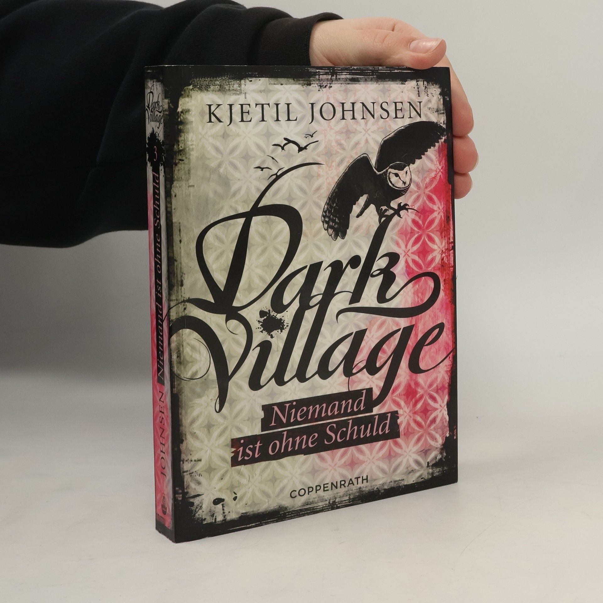 Kjetil Johnsen Dark Village 03 - Niemand ist ohne Schuld