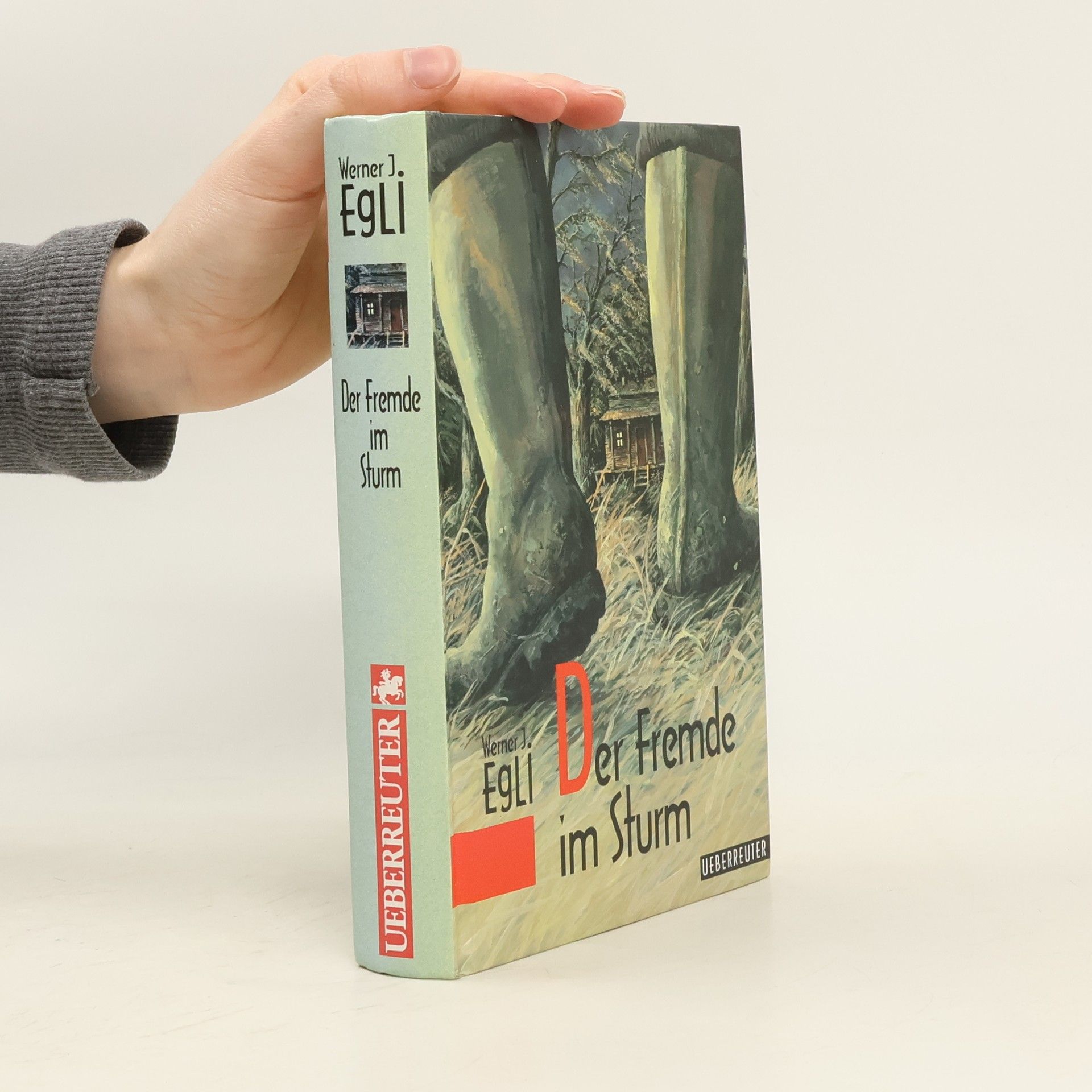 Werner J. Egli Der Fremde im Sturm