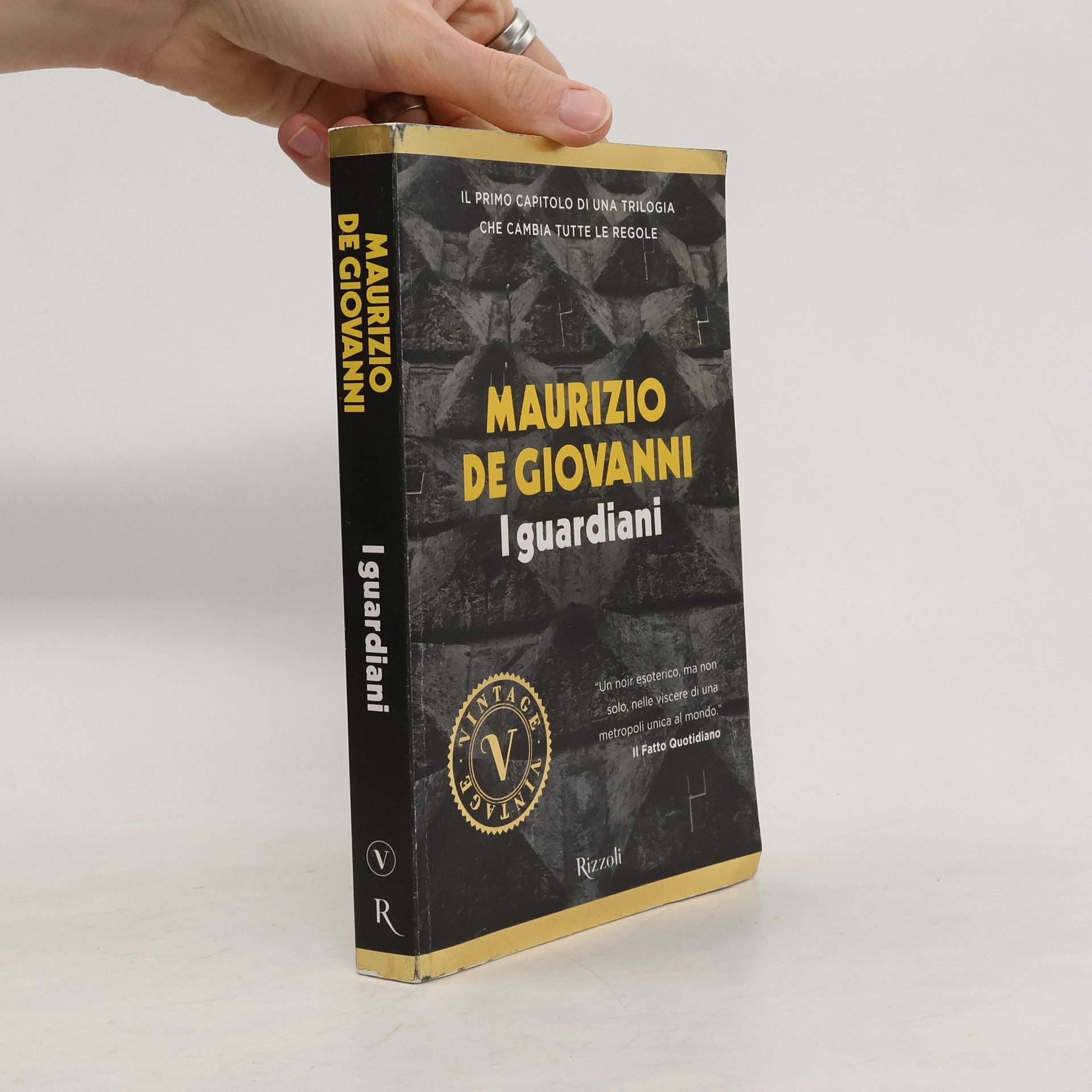 Maurizio De Giovanni Vintage: I guardiani