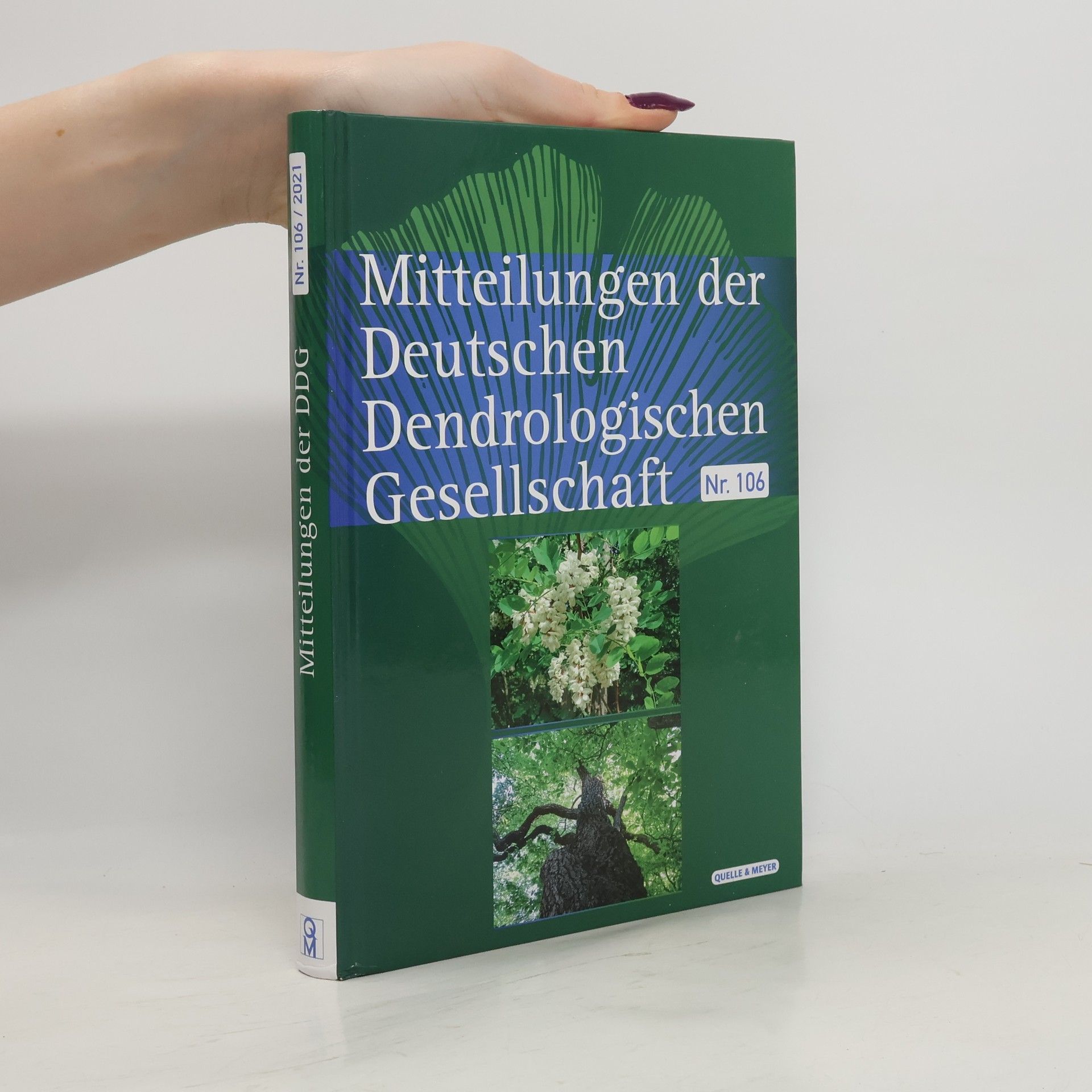 Autorenkollektiv Mitteilungen der DDG