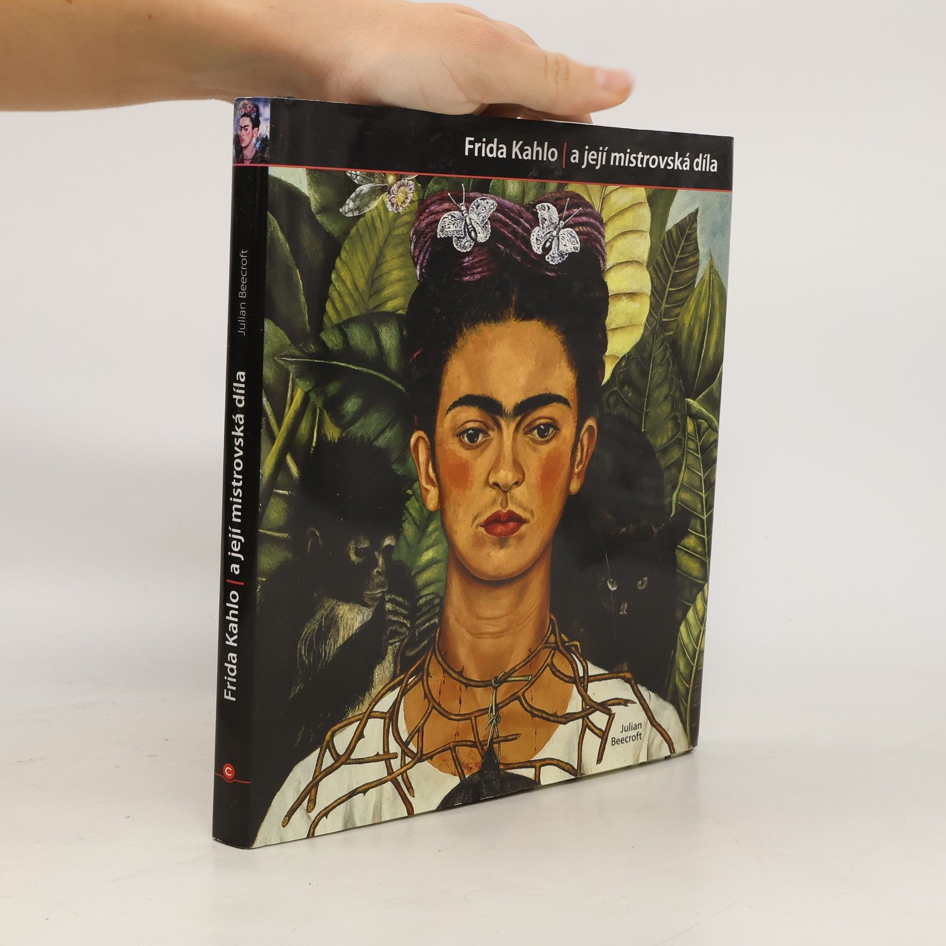Frida Kahlo a její mistrovská díla