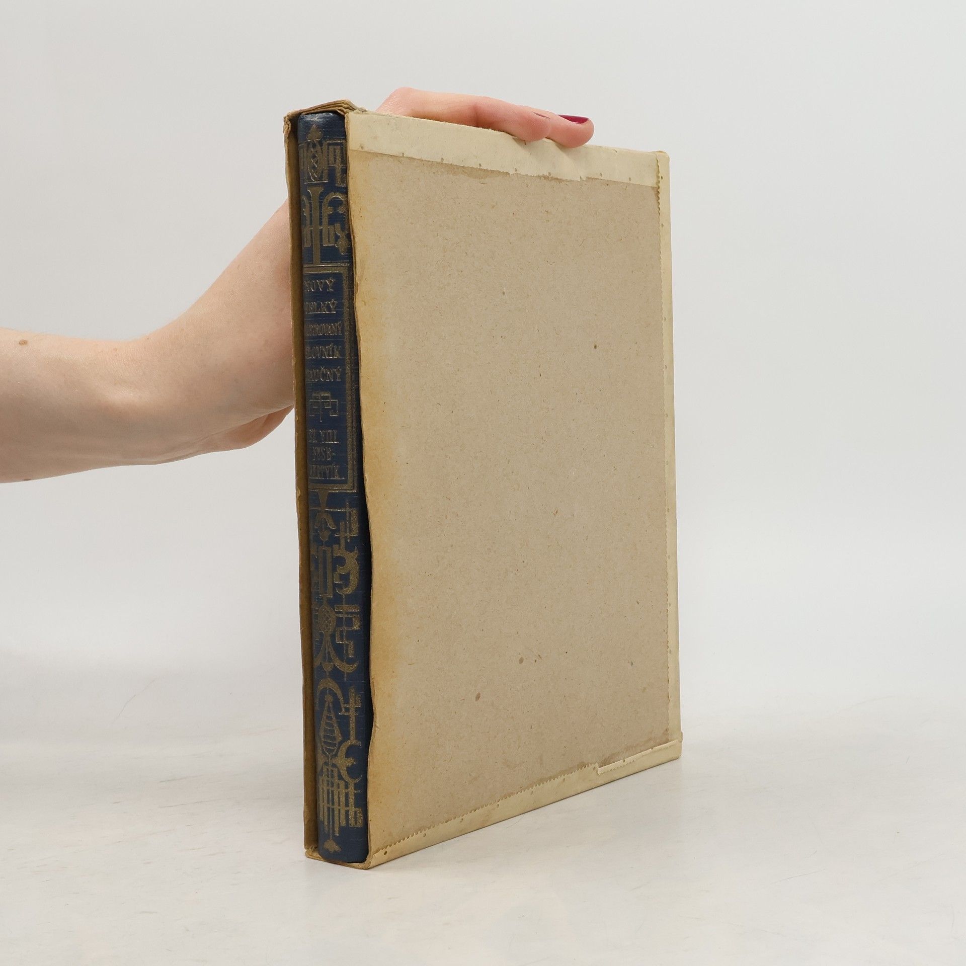 AA.VV. Nový velký ilustrovaný slovník naučný VIII.