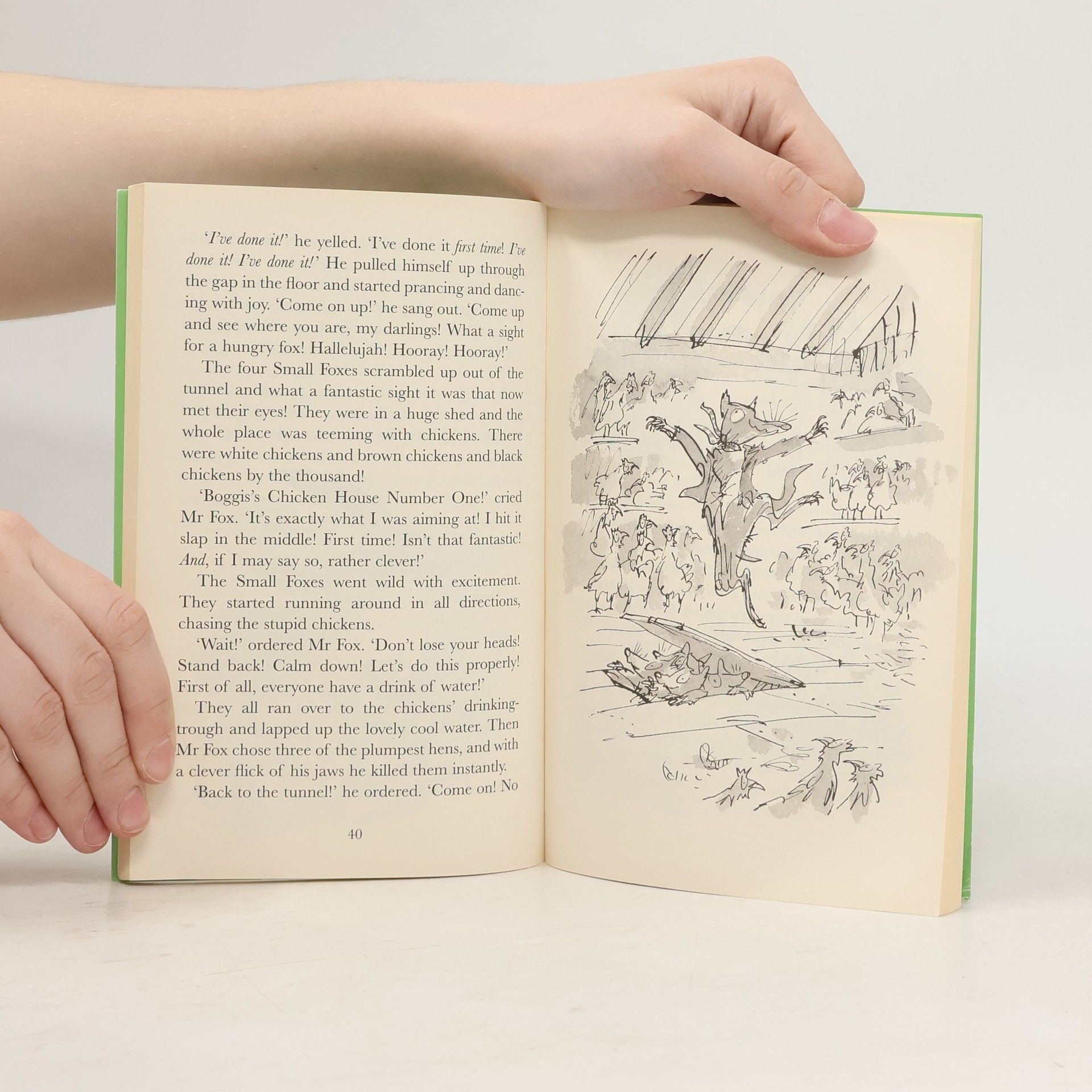 Roald Dahl Fantastic Mr Fox