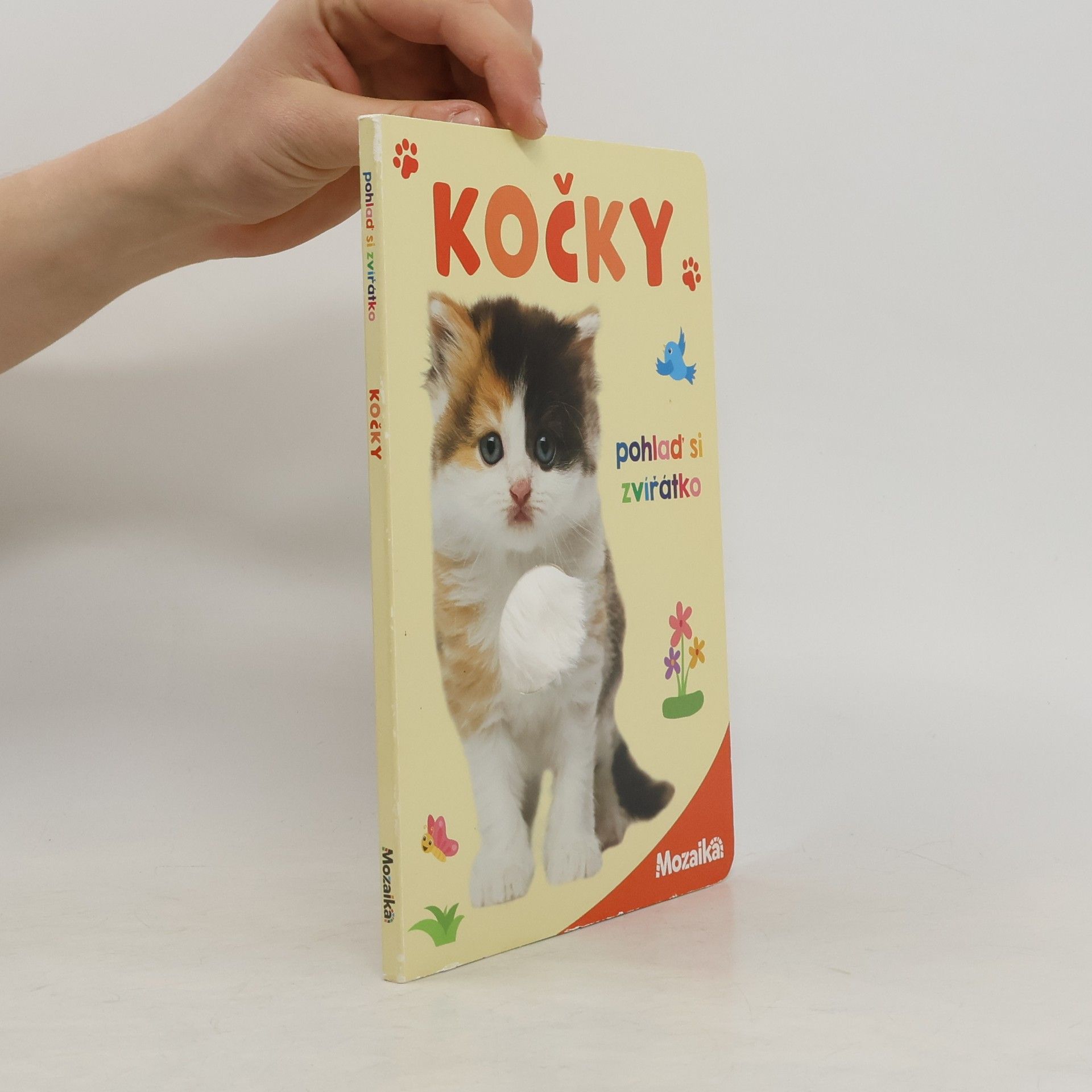 Kolektiv autorů Kočky: pohlaď si zvířátko