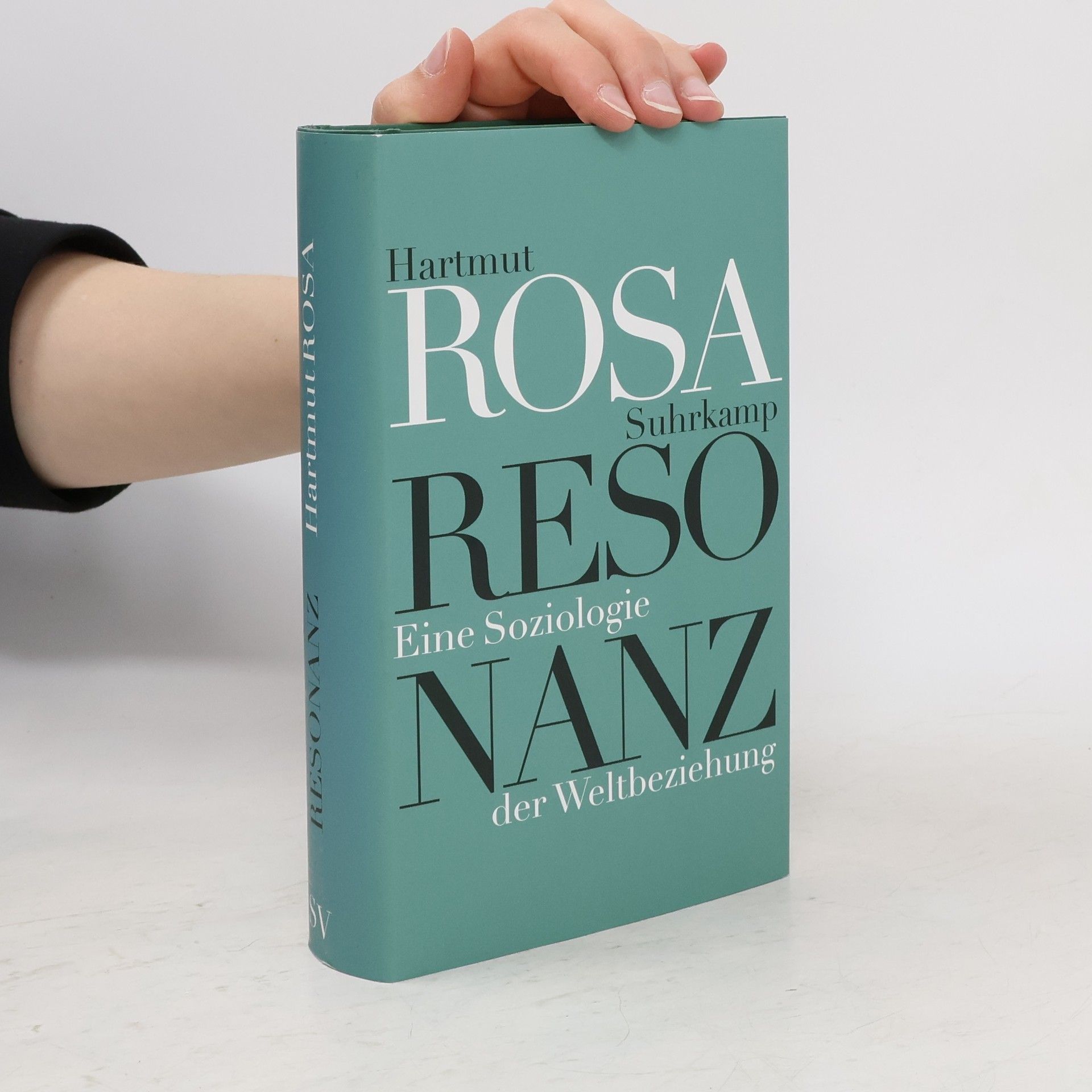 Hartmut Rosa Resonanz