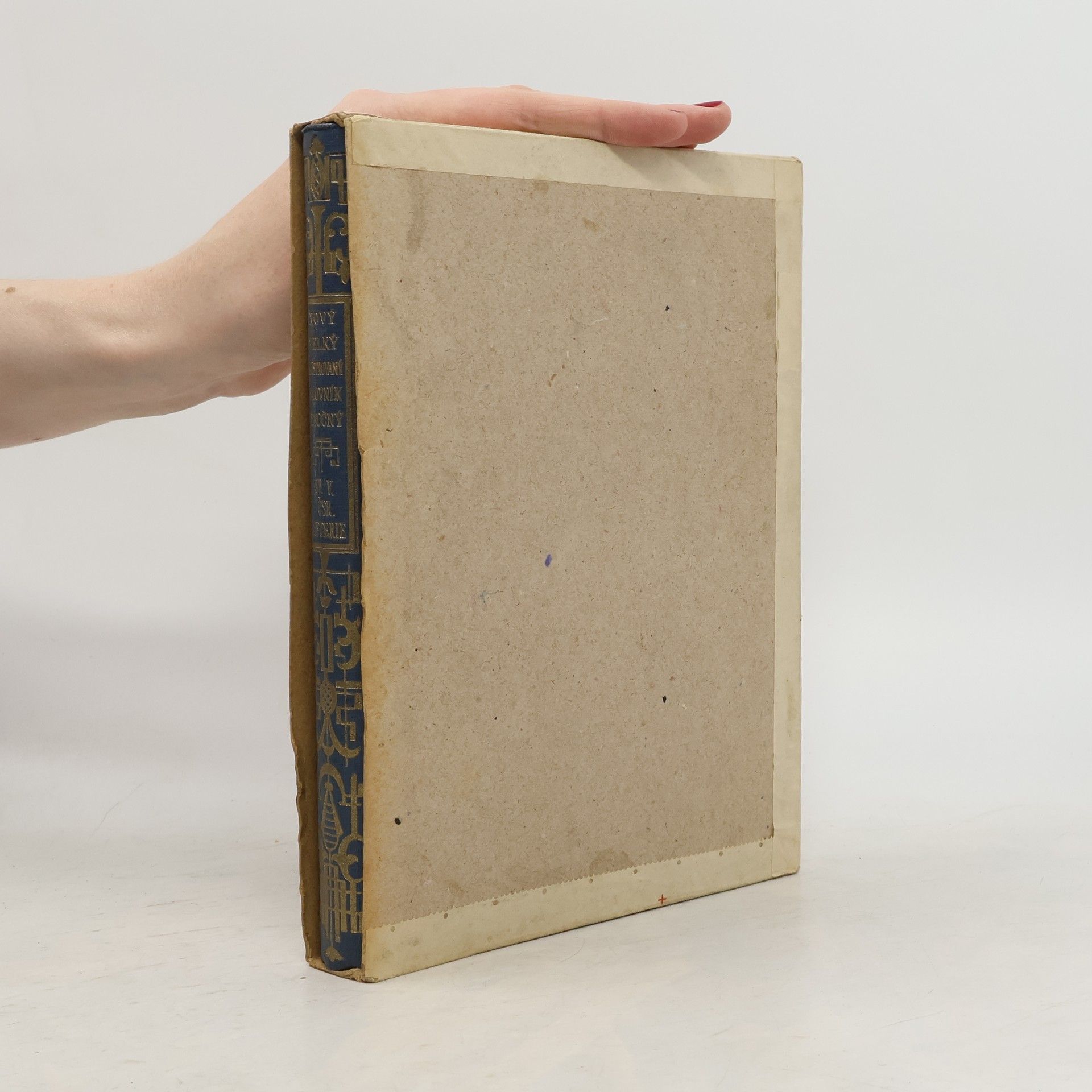 AA.VV. Nový velký ilustrovaný slovník naučný V.