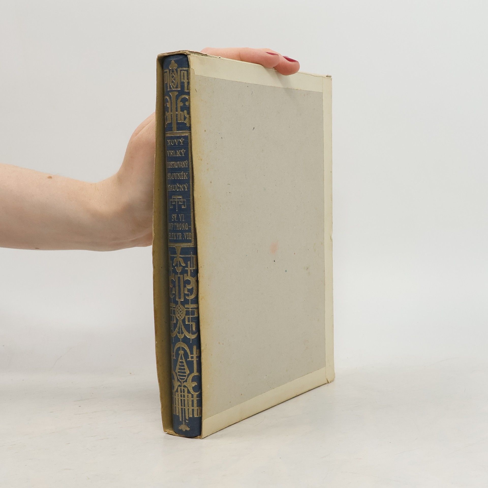 Kolektív autorov Nový velký ilustrovaný slovník naučný VI.