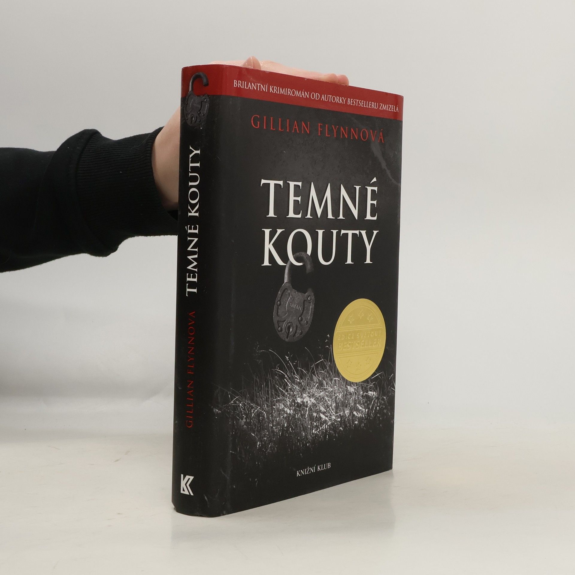 Gillian Flynn Temné kouty