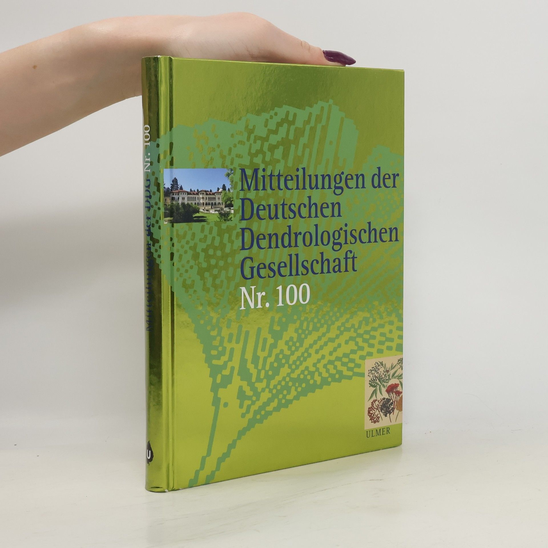 Autorenkollektiv Mitteilungen der Deutschen Dendrologischen Gesellschaft. Nr. 100