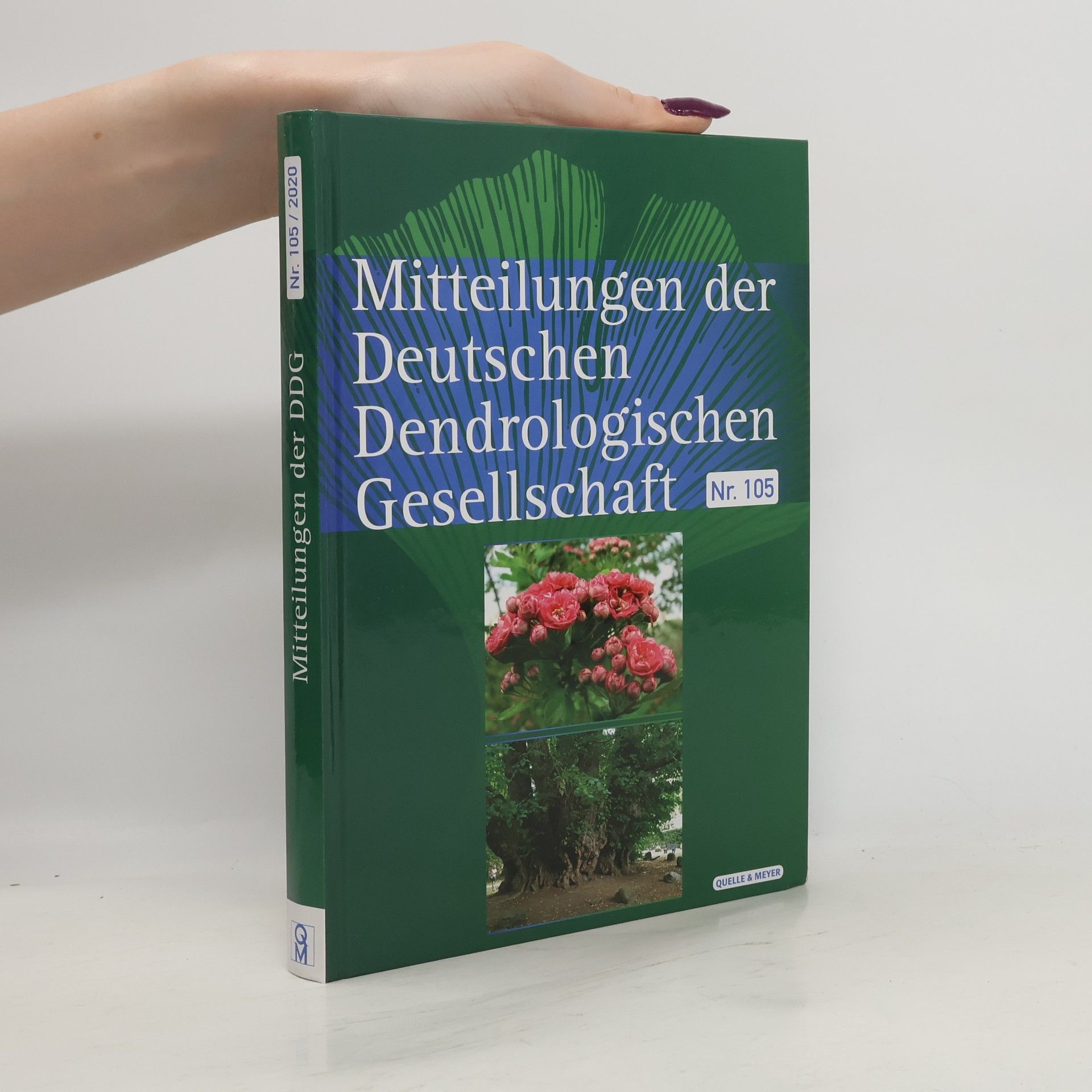 Autorenkollektiv Mitteilungen der DDG