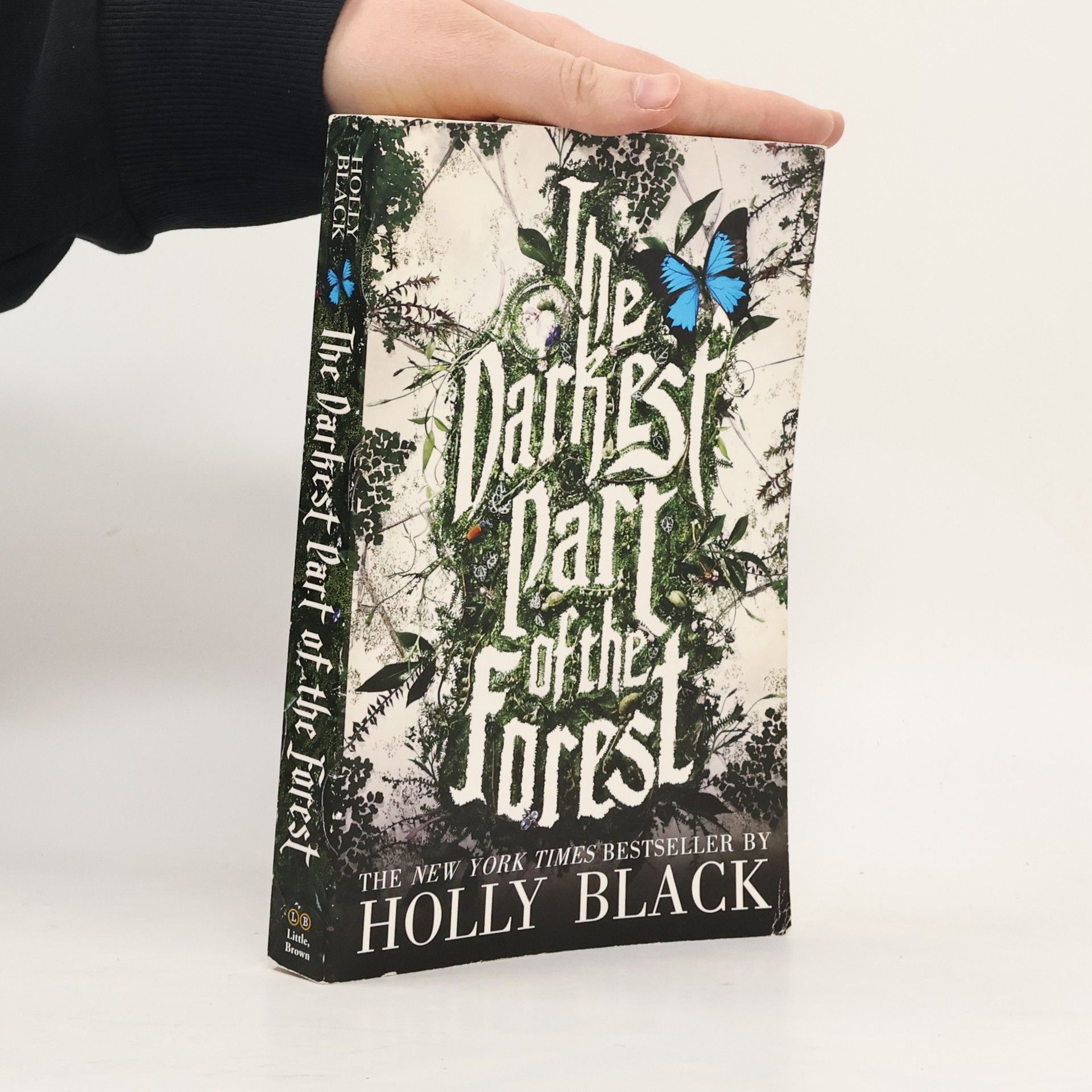 Holly Black The Darkest Part of the Forest
