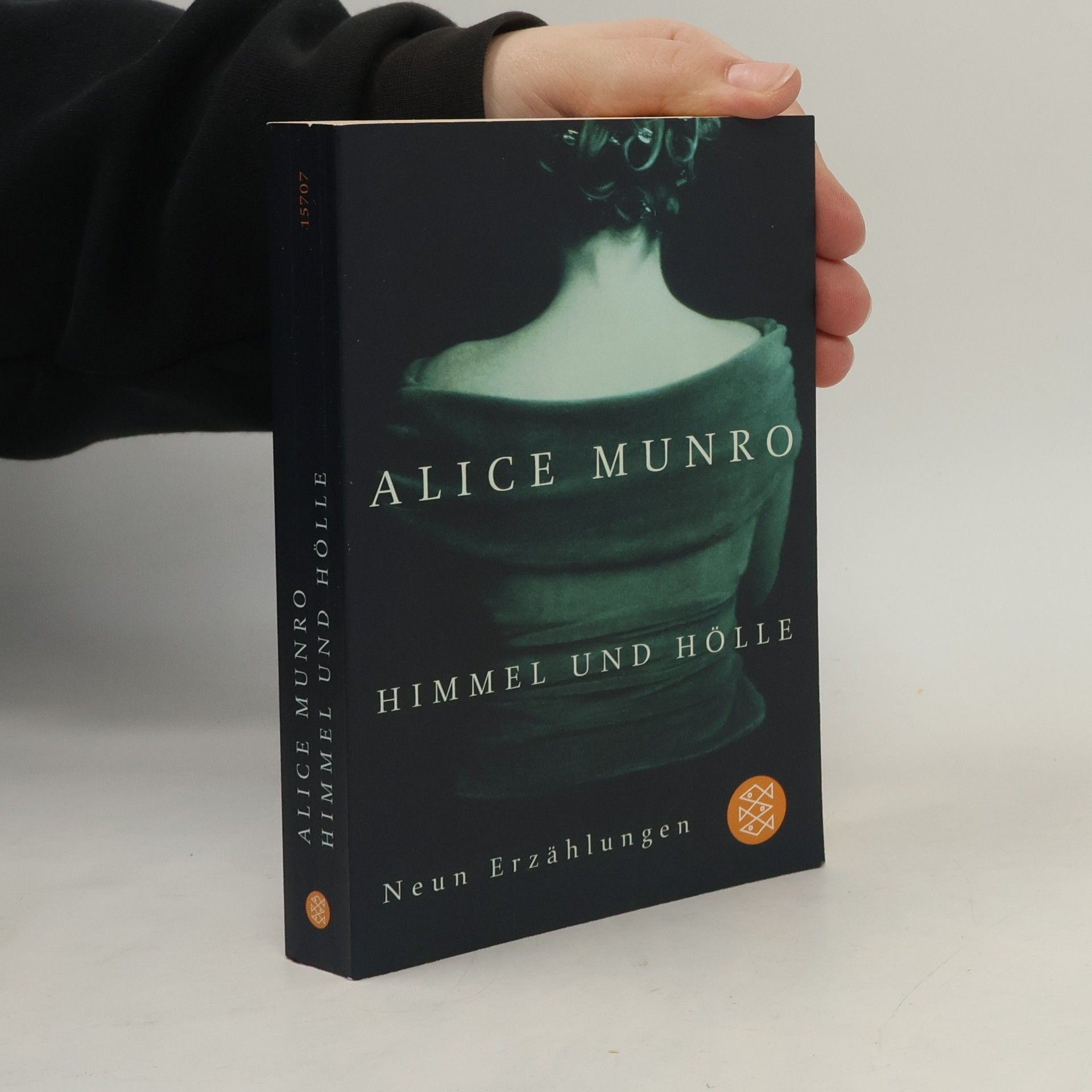 Alice Munro Himmel und Hölle