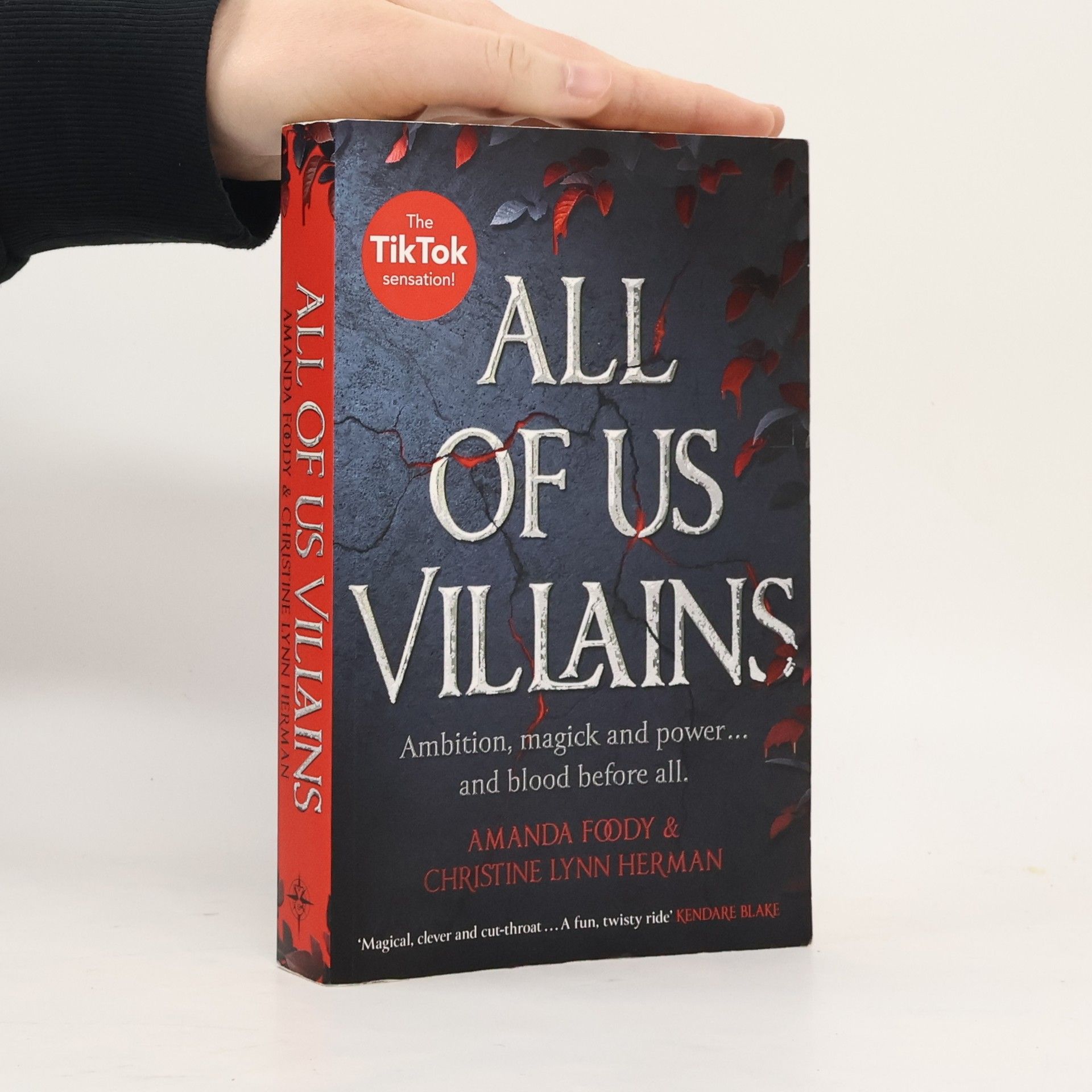 Amanda Foody All of Us Villains