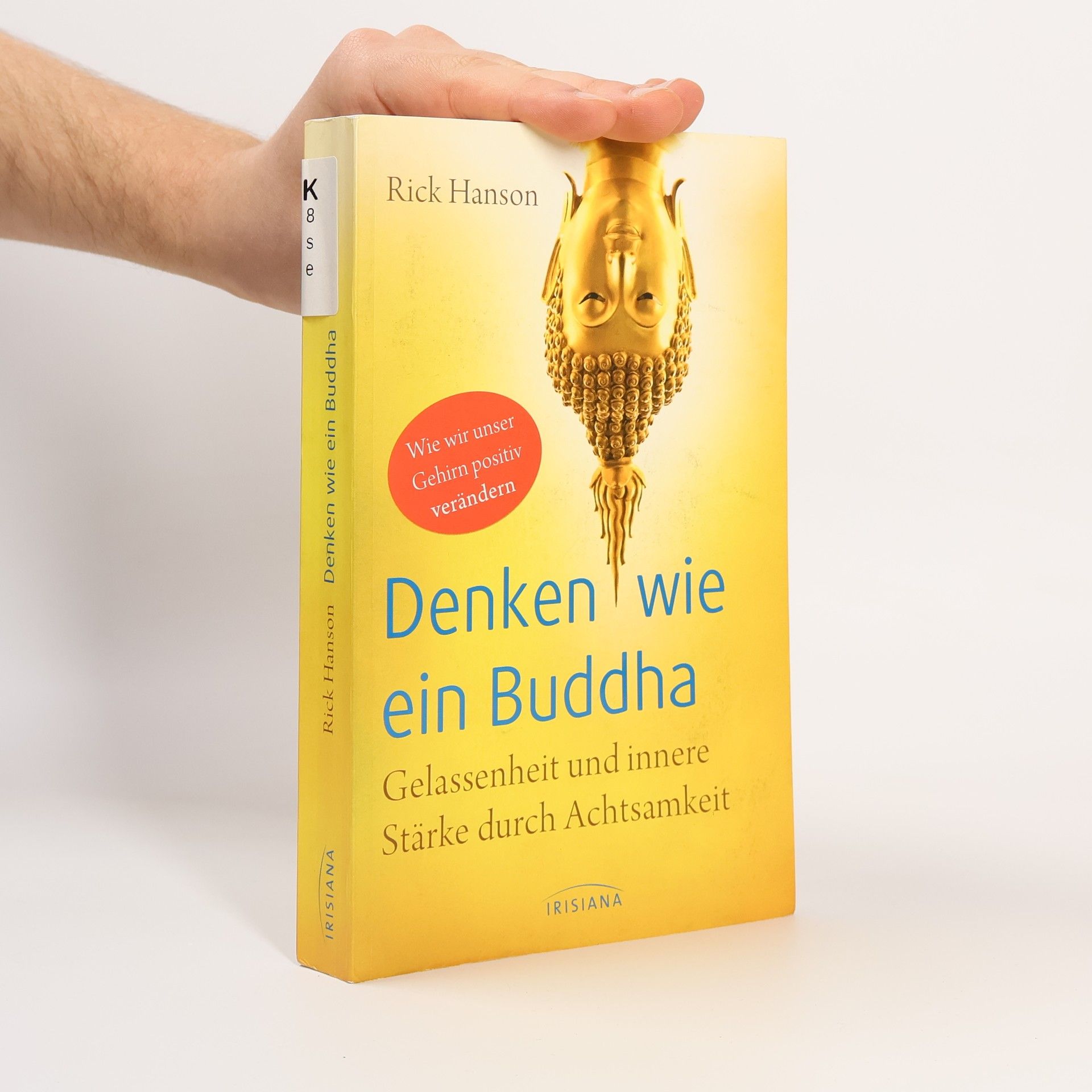 Rick hanson Denken wie ein Buddha