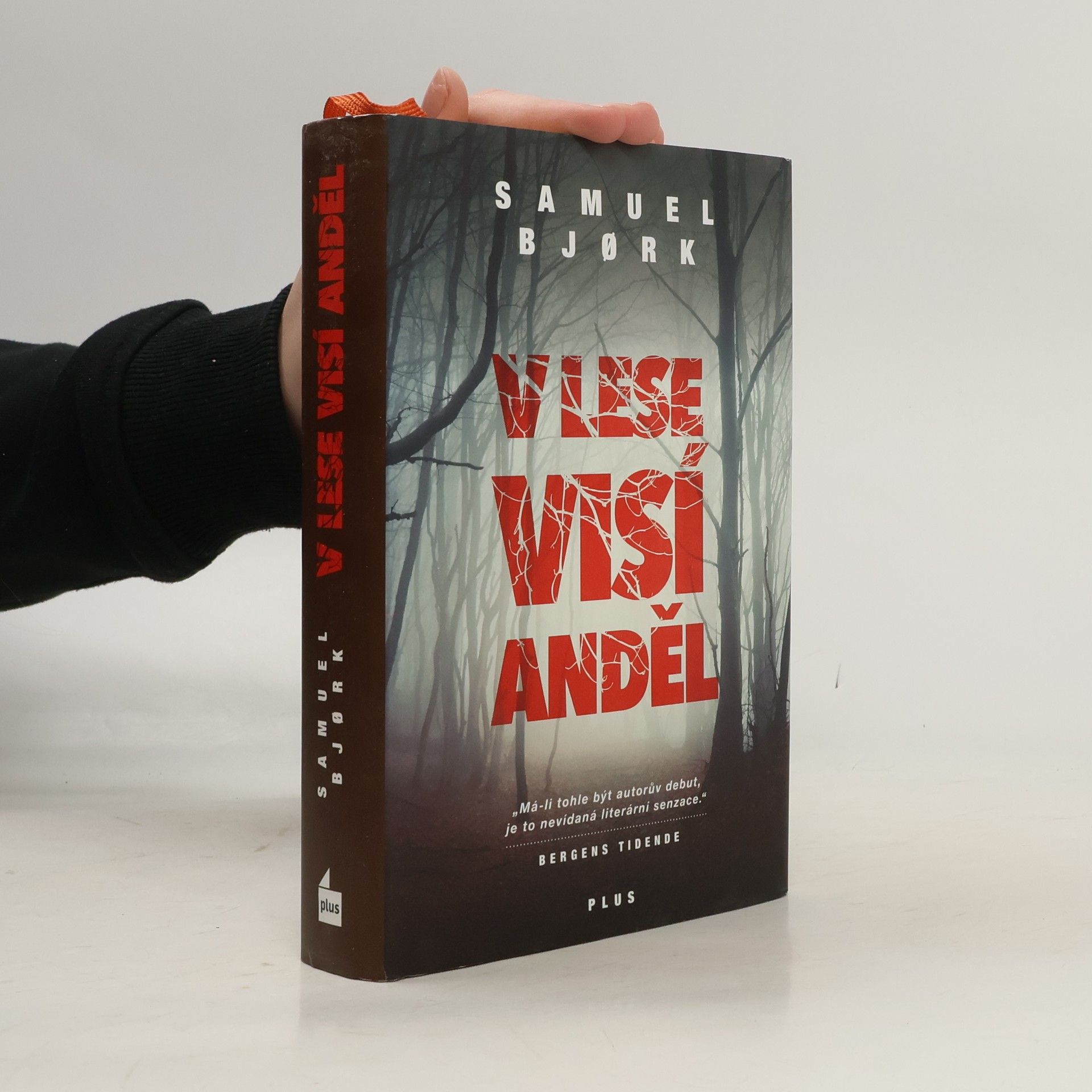 Samuel Bjork V lese visí anděl