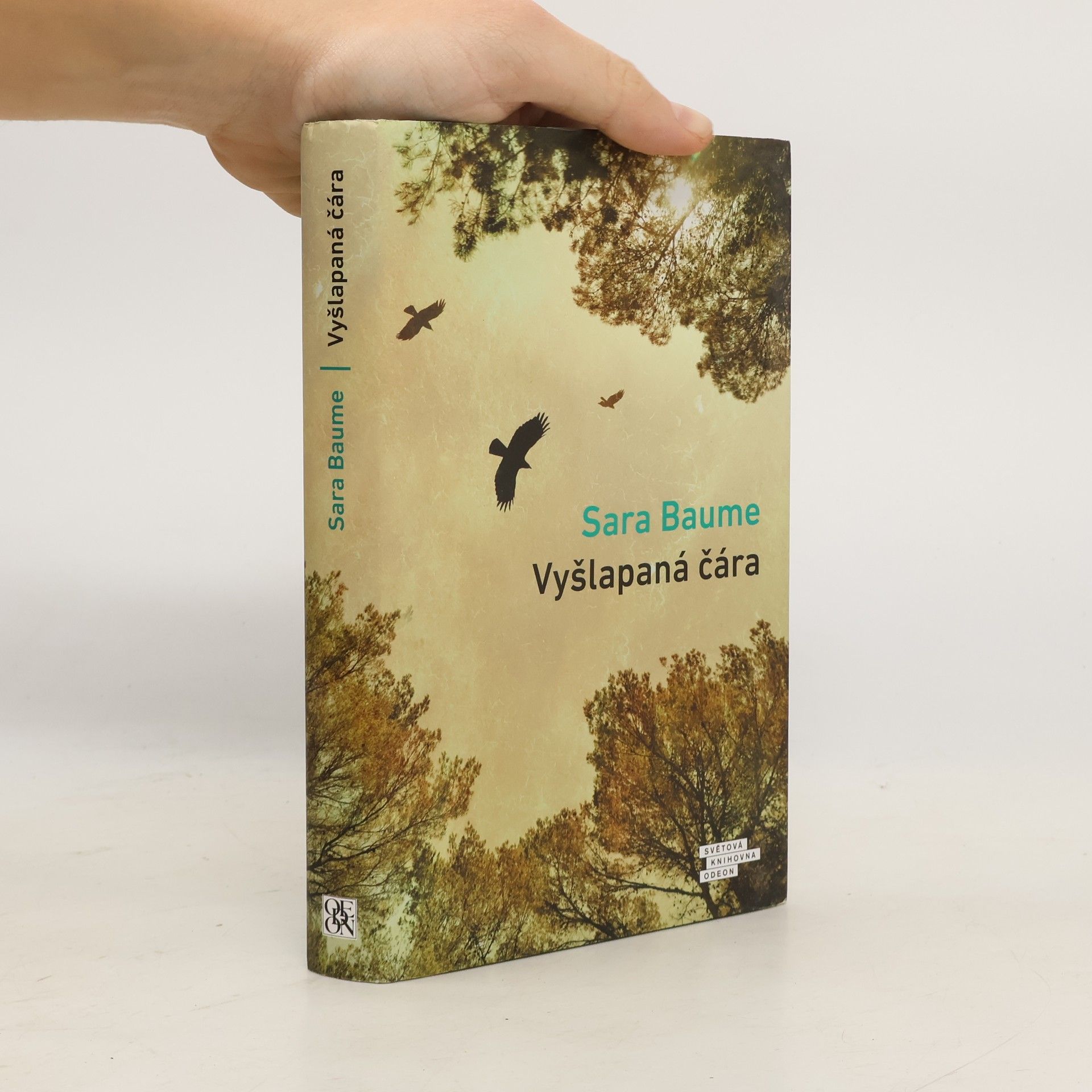 Sara Baume Vyšlapaná čára