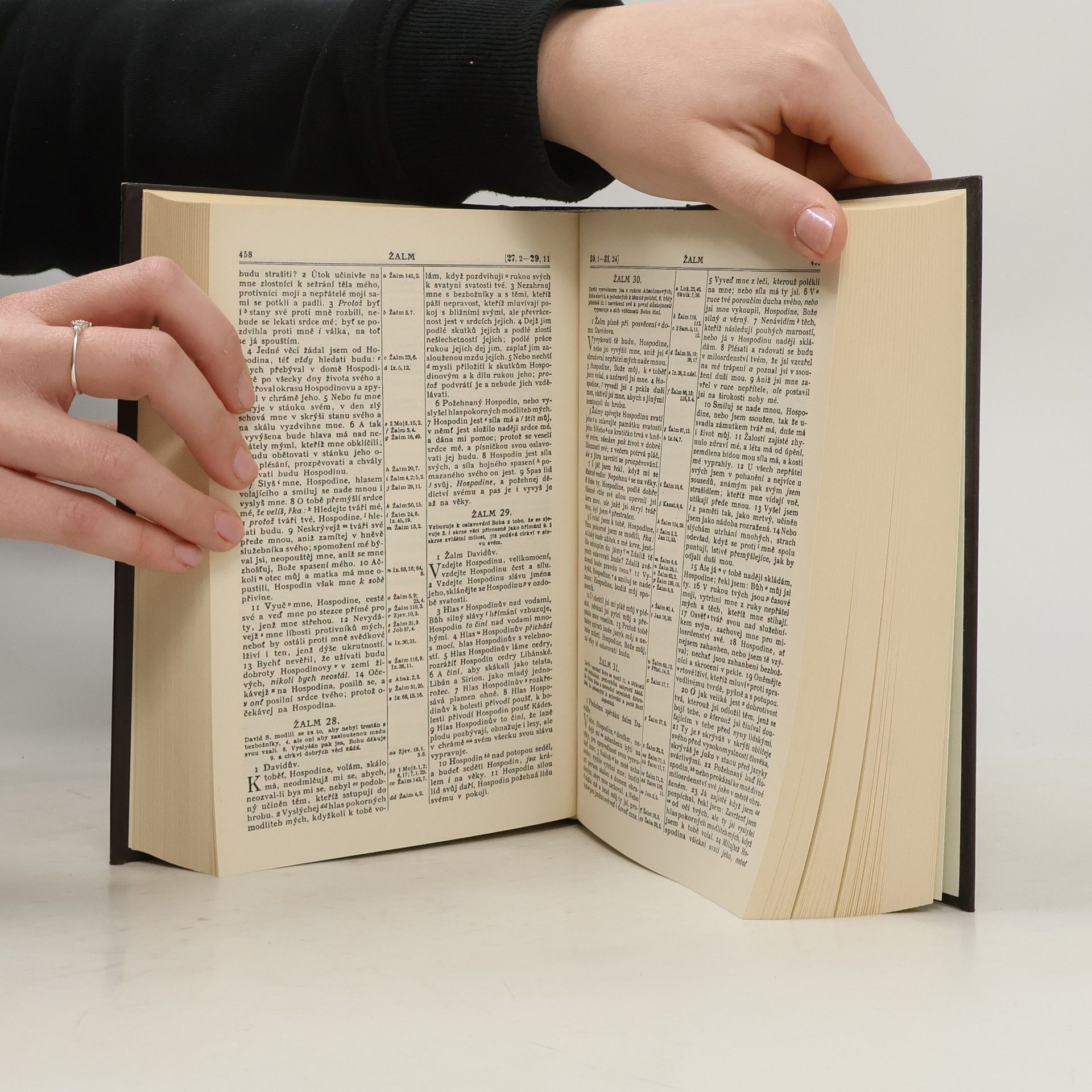 Collectif d'auteurs Bible svatá aneb všecka svatá písma Starého i Nového zákona