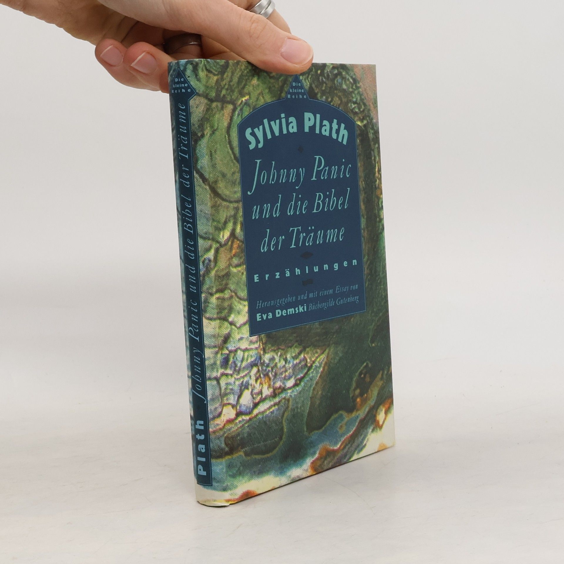 Sylvia Plath Johnny Panic und die Bibel der Träume