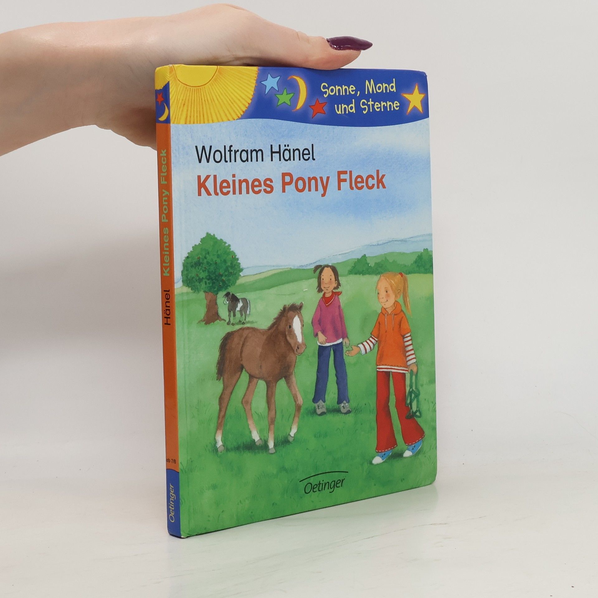 Wolfram Hänel Kleines Pony Fleck