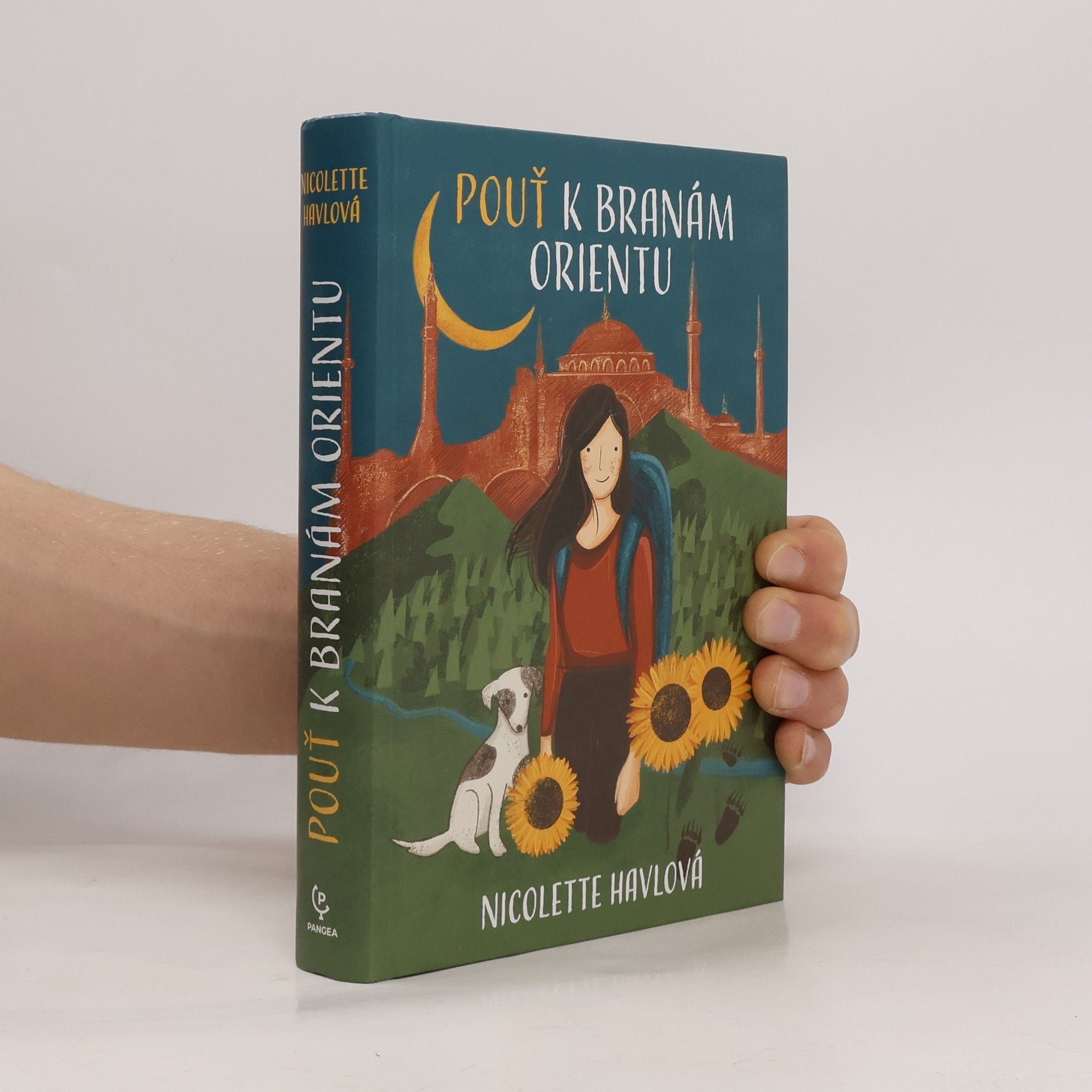 Nicolette Havlová Pouť k branám Orientu
