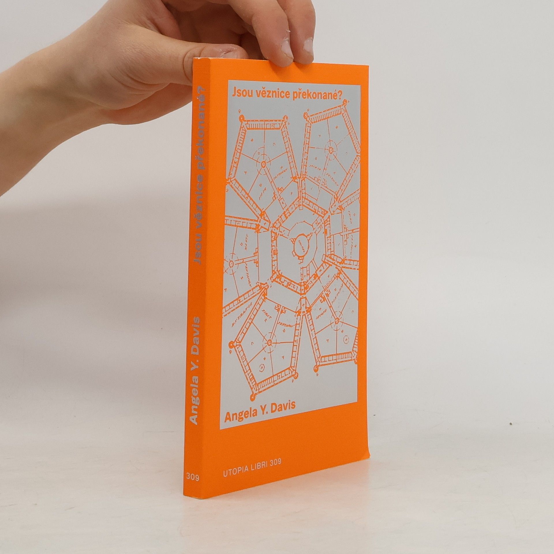 Angela Davis Jsou věznice překonané?